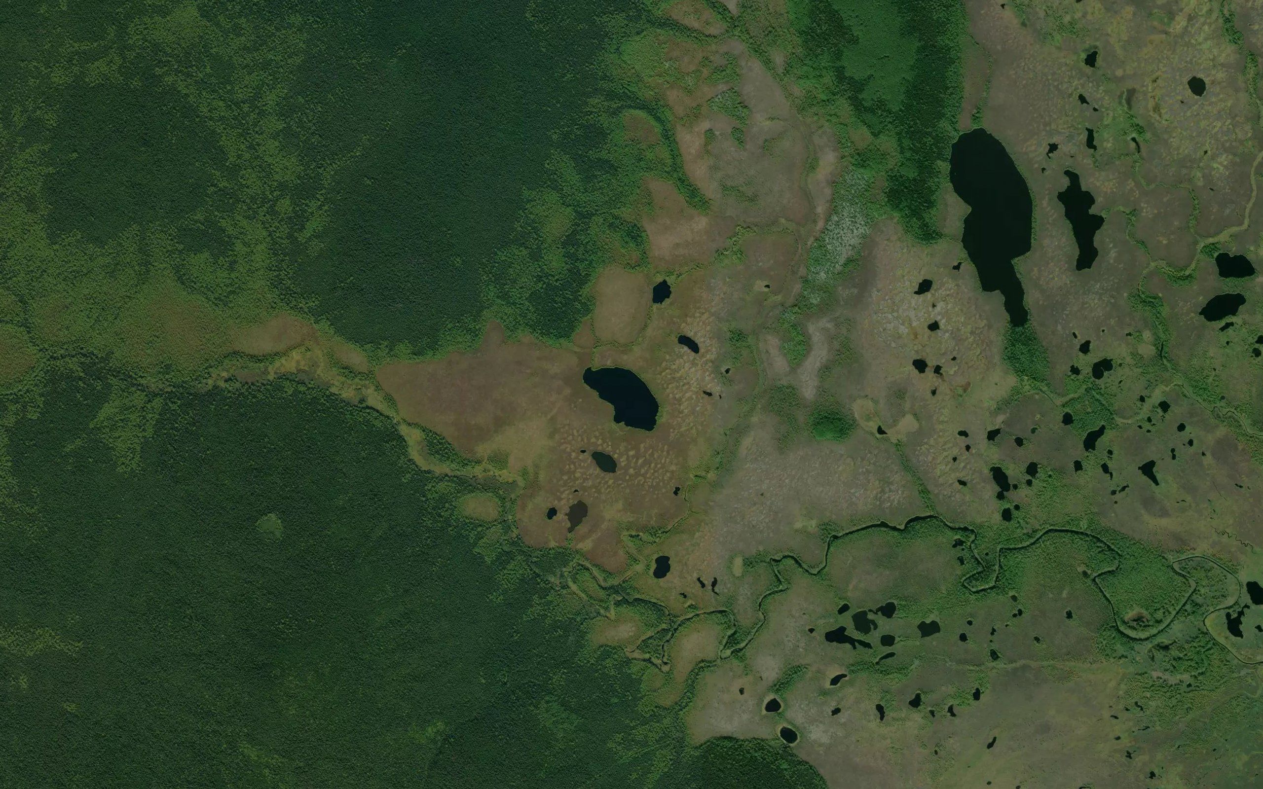 Ozero Tikhoye