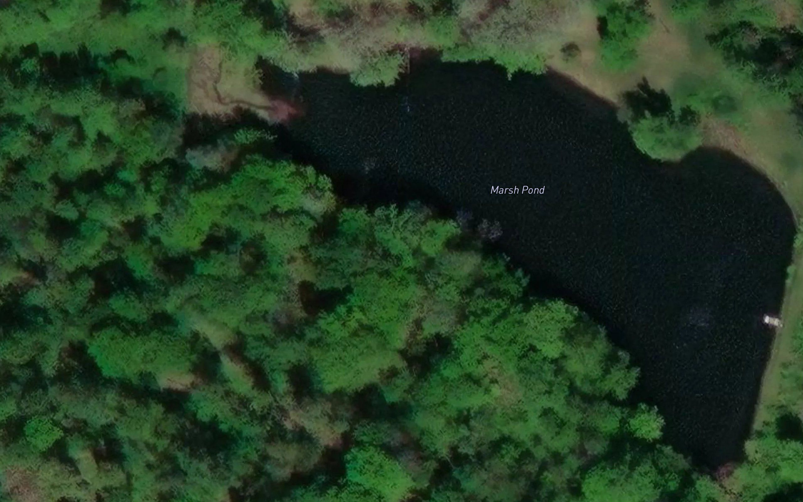 Marsh Pond