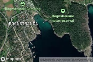 Skinnvika