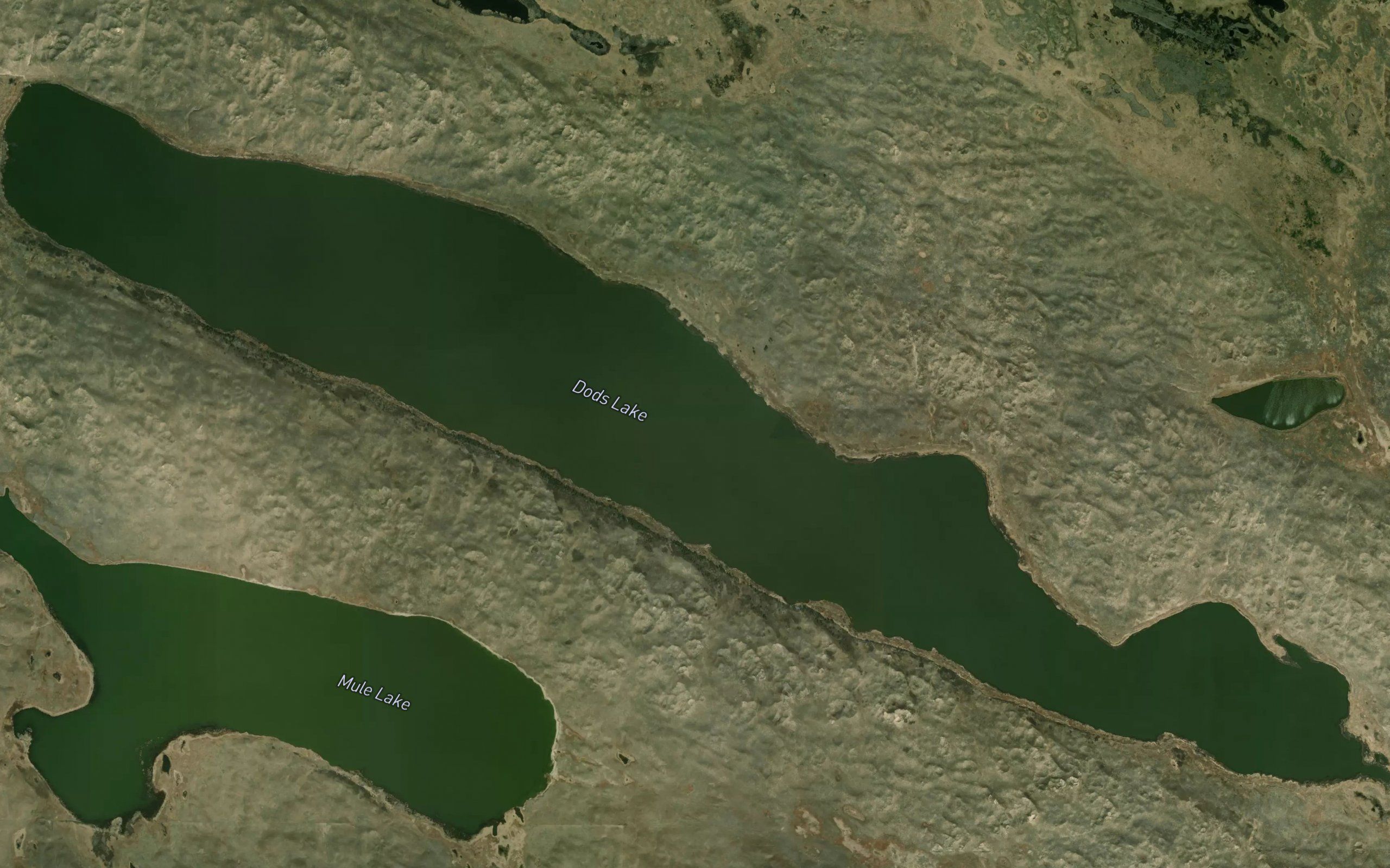 Dads Lake