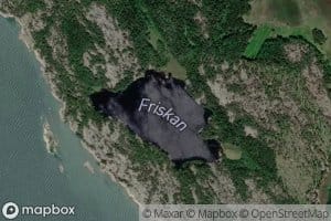 Friskan