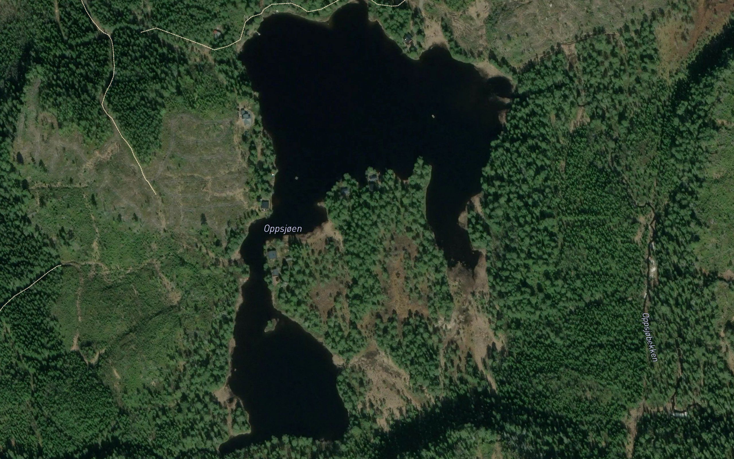 Oppsjoen