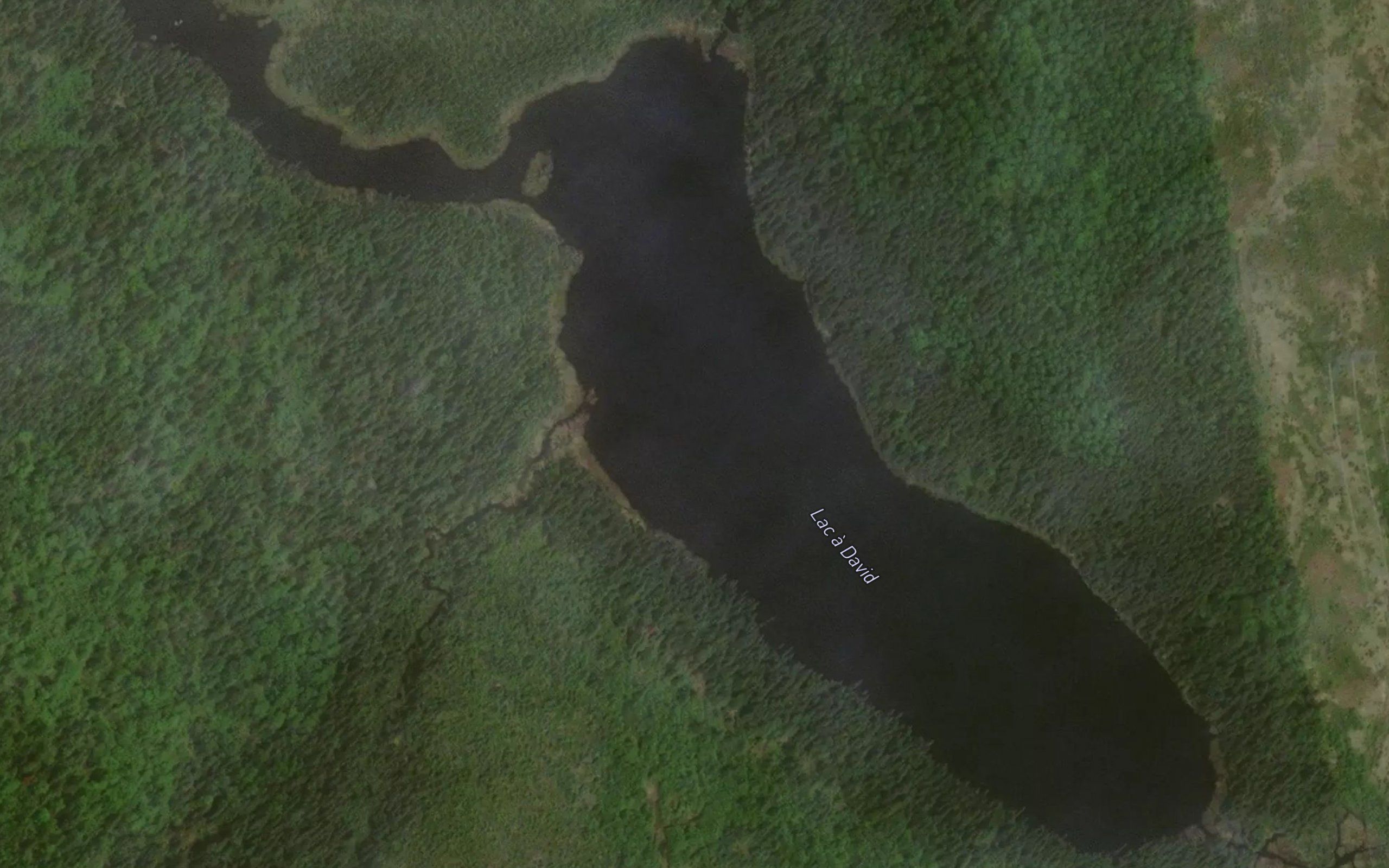 Lac a David