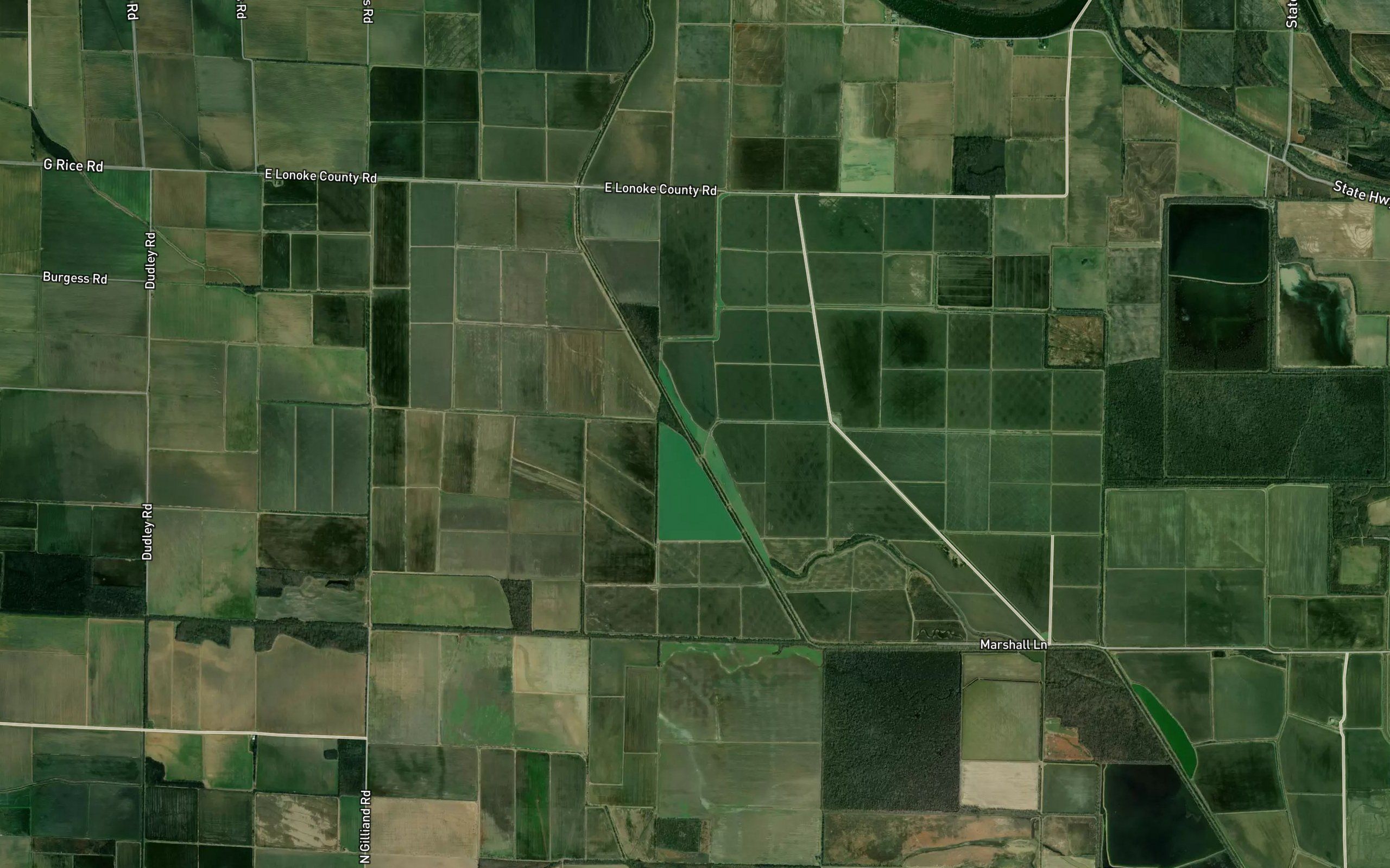 Mile Branch