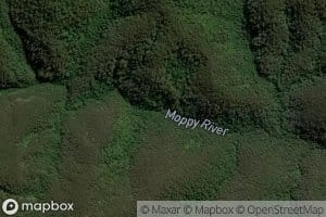 Moppy River
