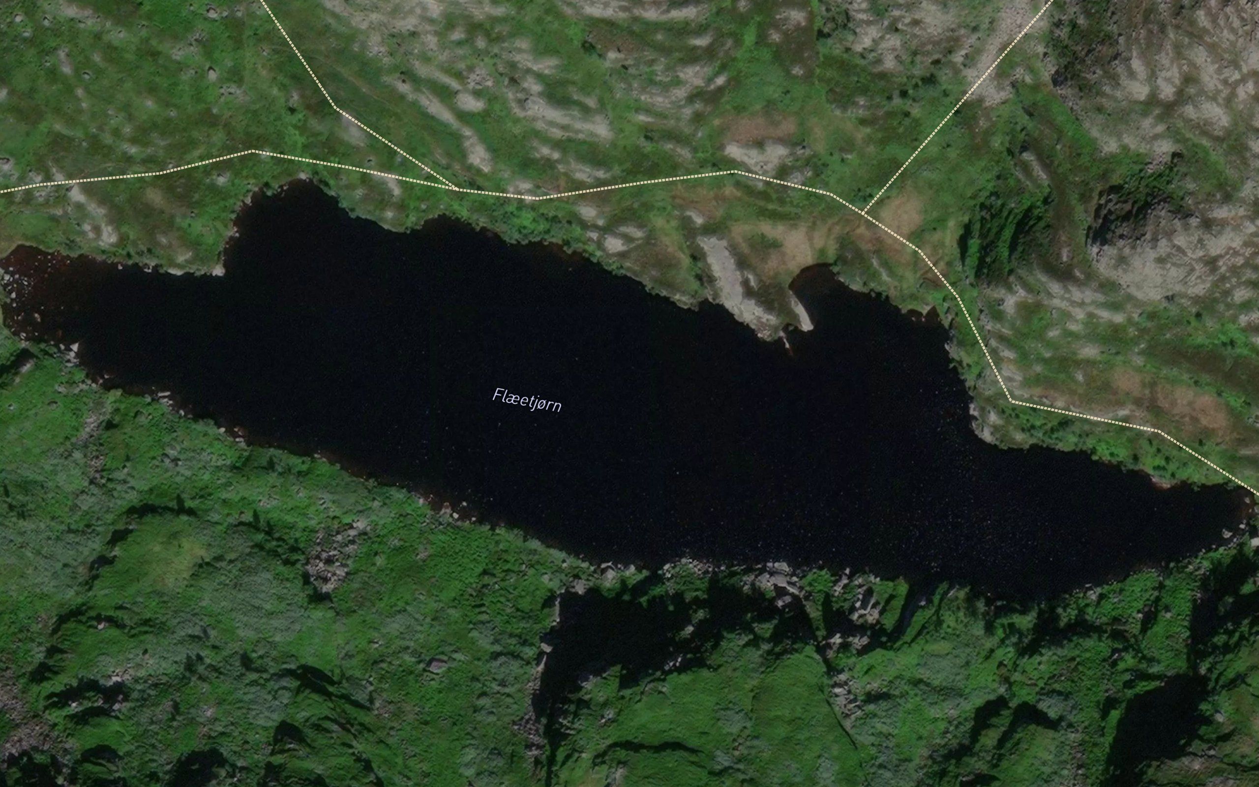 Flaeetjorn