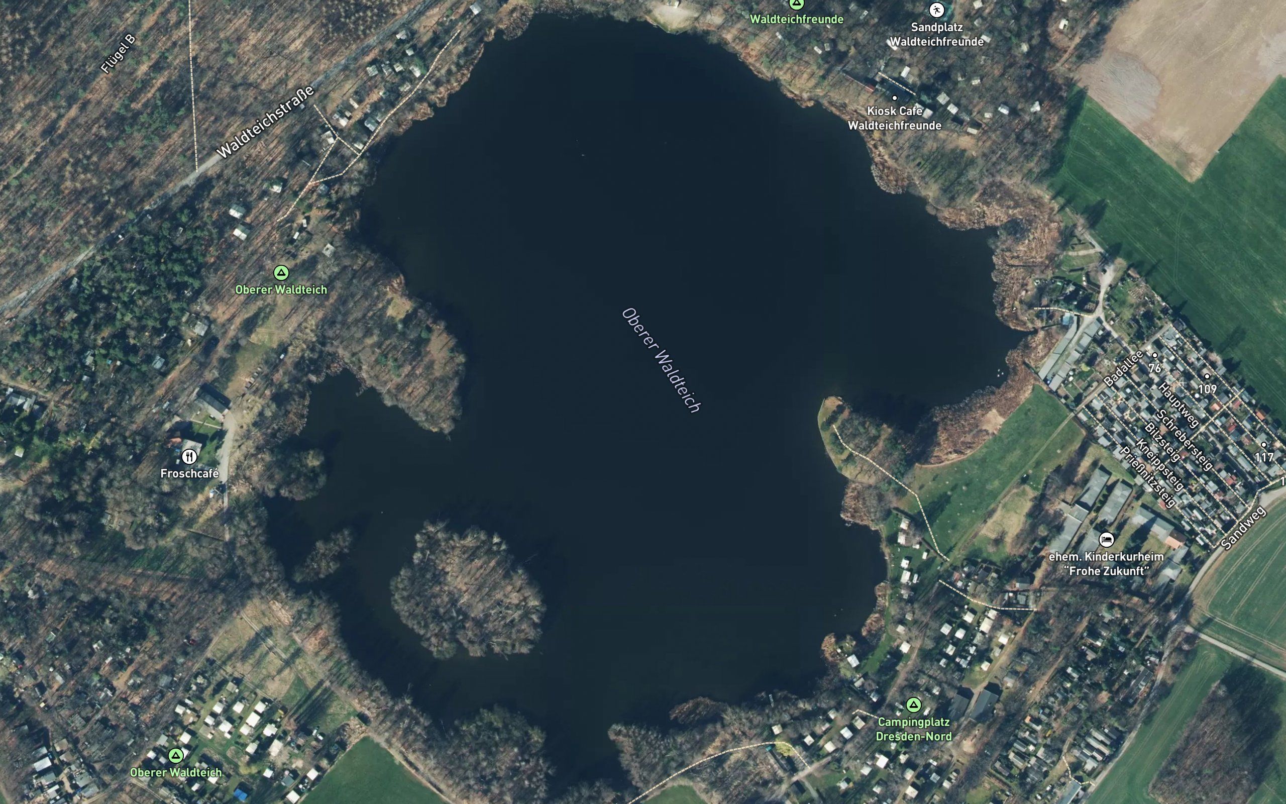 Oberer Wald-Teich