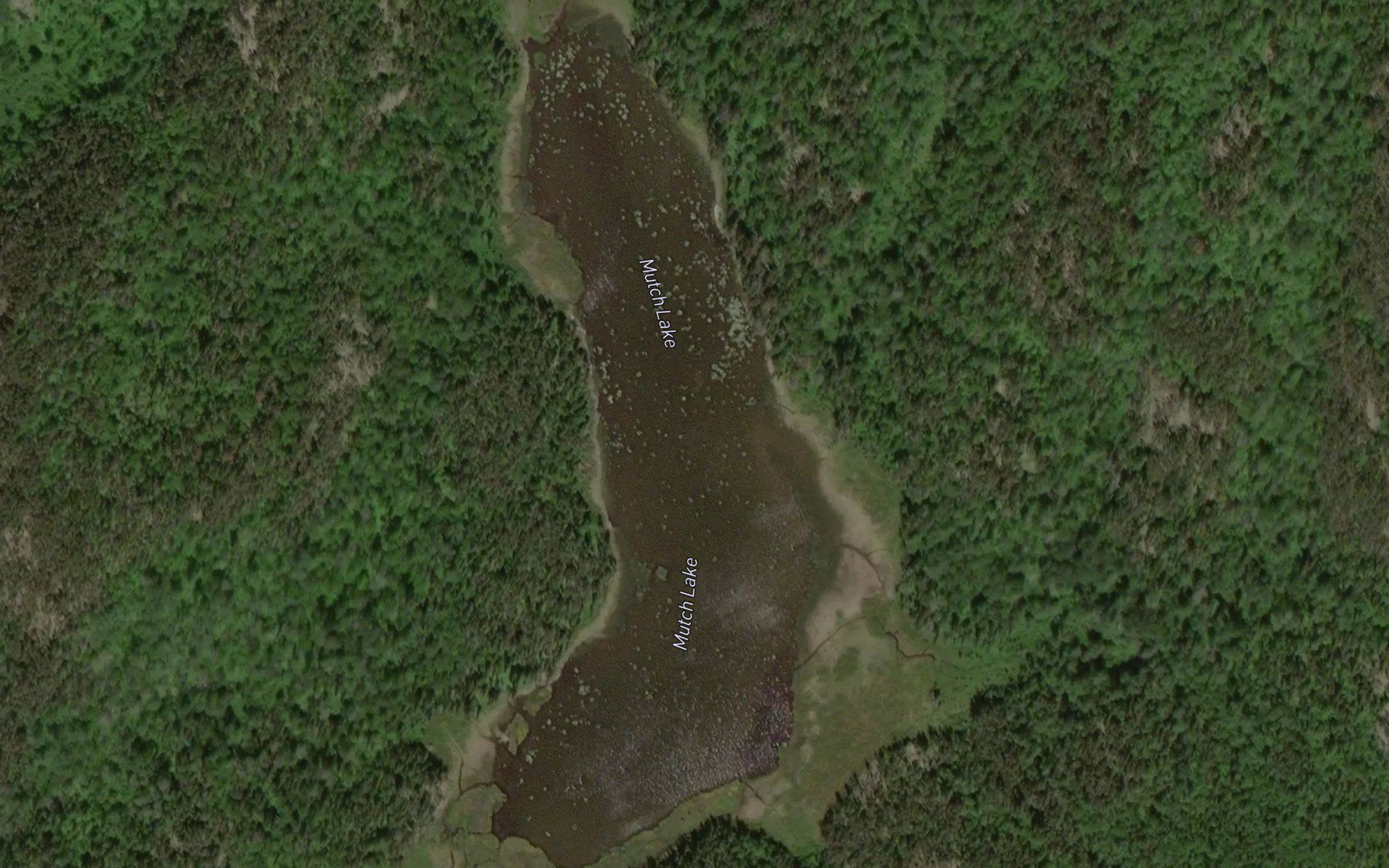 Mutch Lake