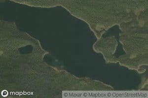 Roy Lake