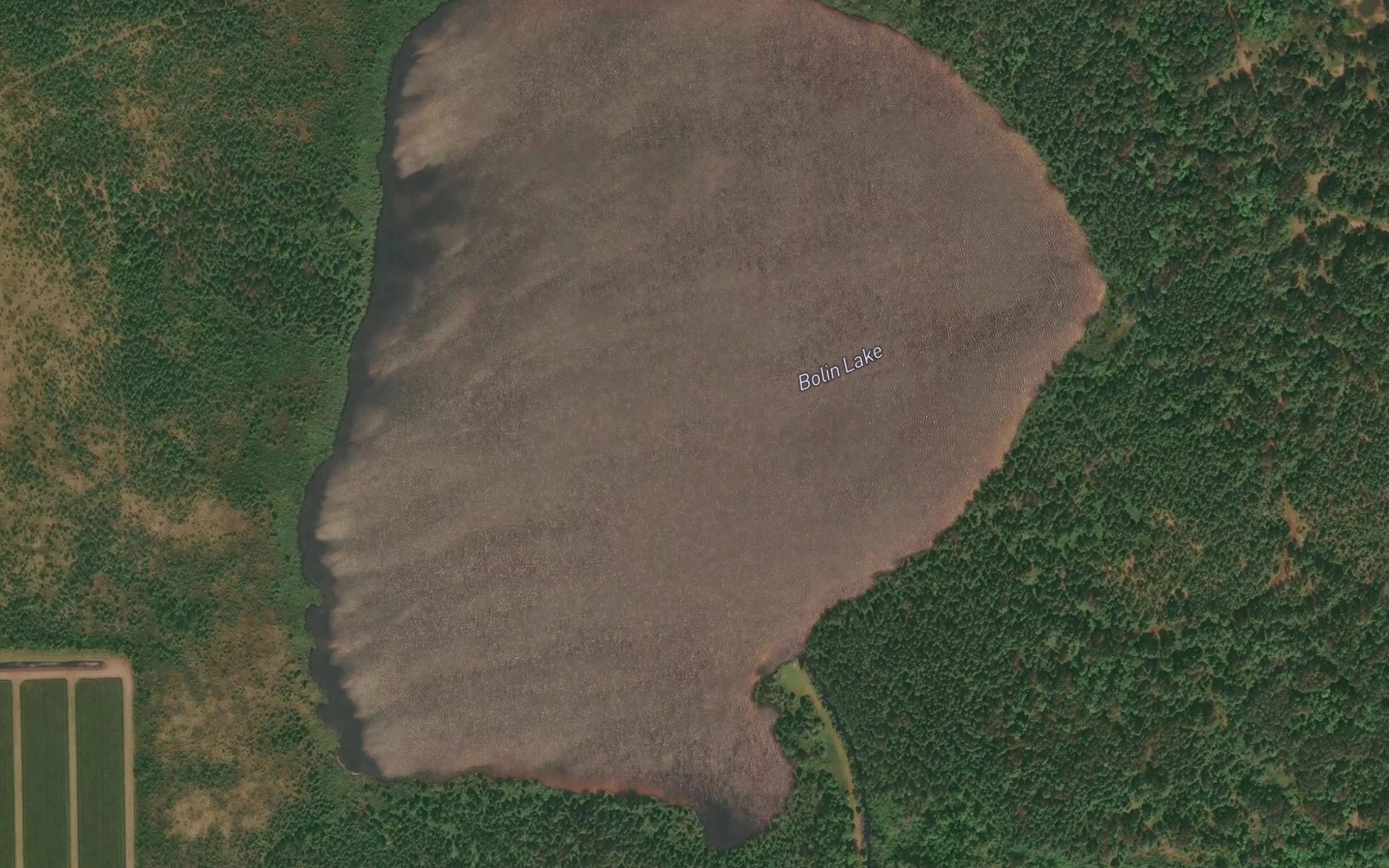 Satellite map of the Bolin Lake