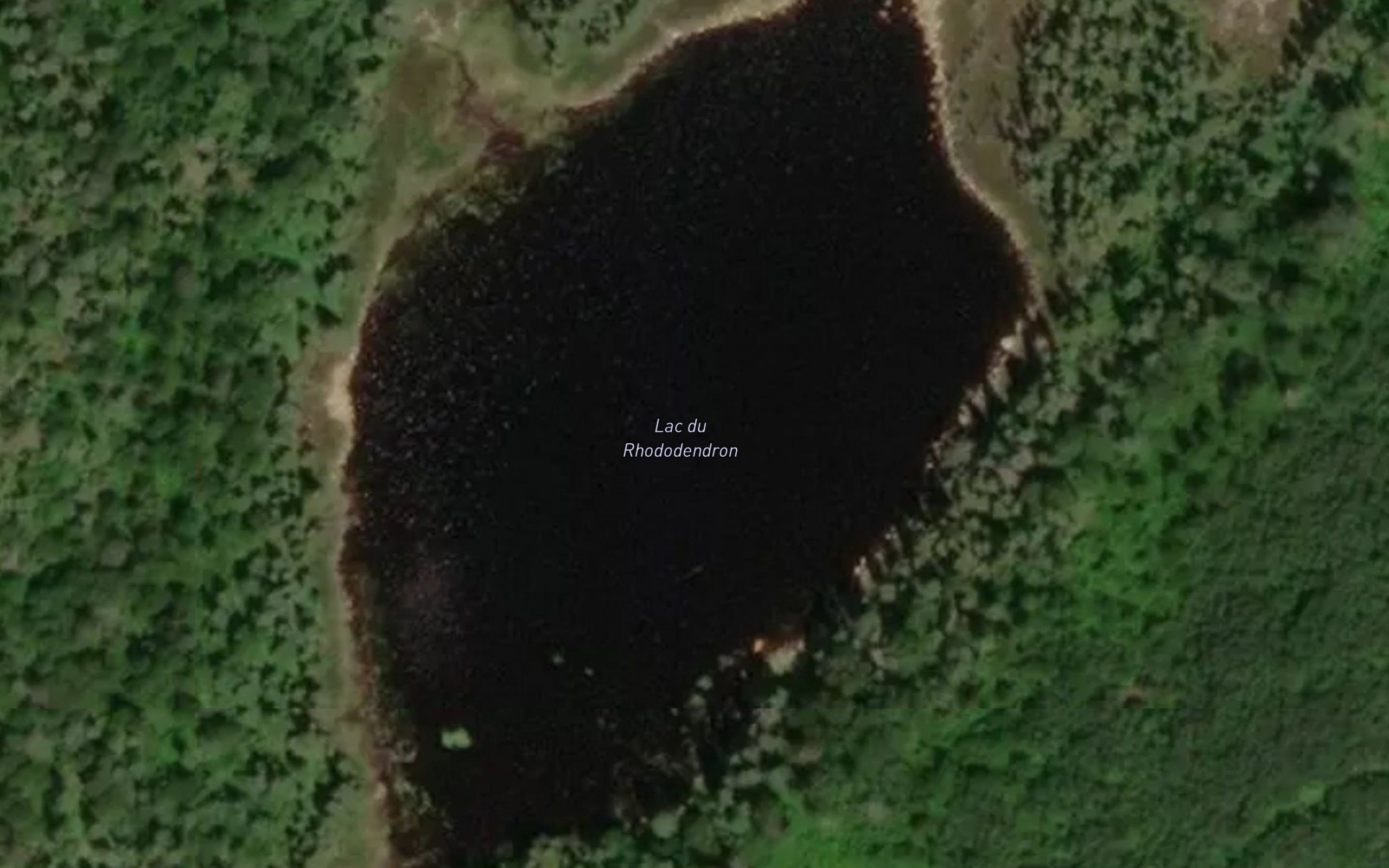 Lac du Rhododendron