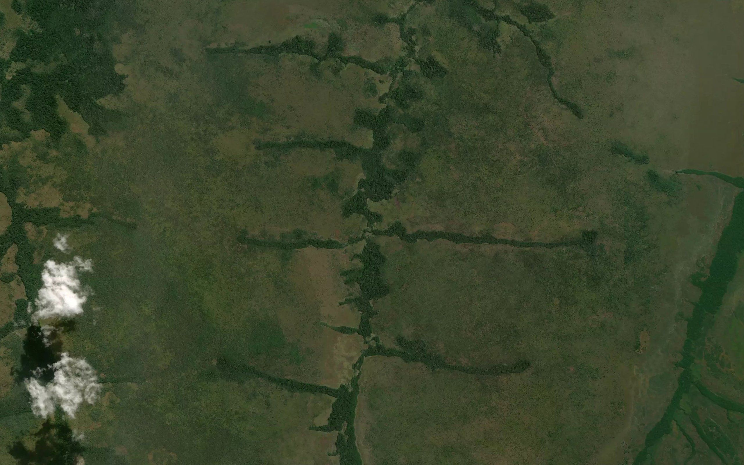 Kapala