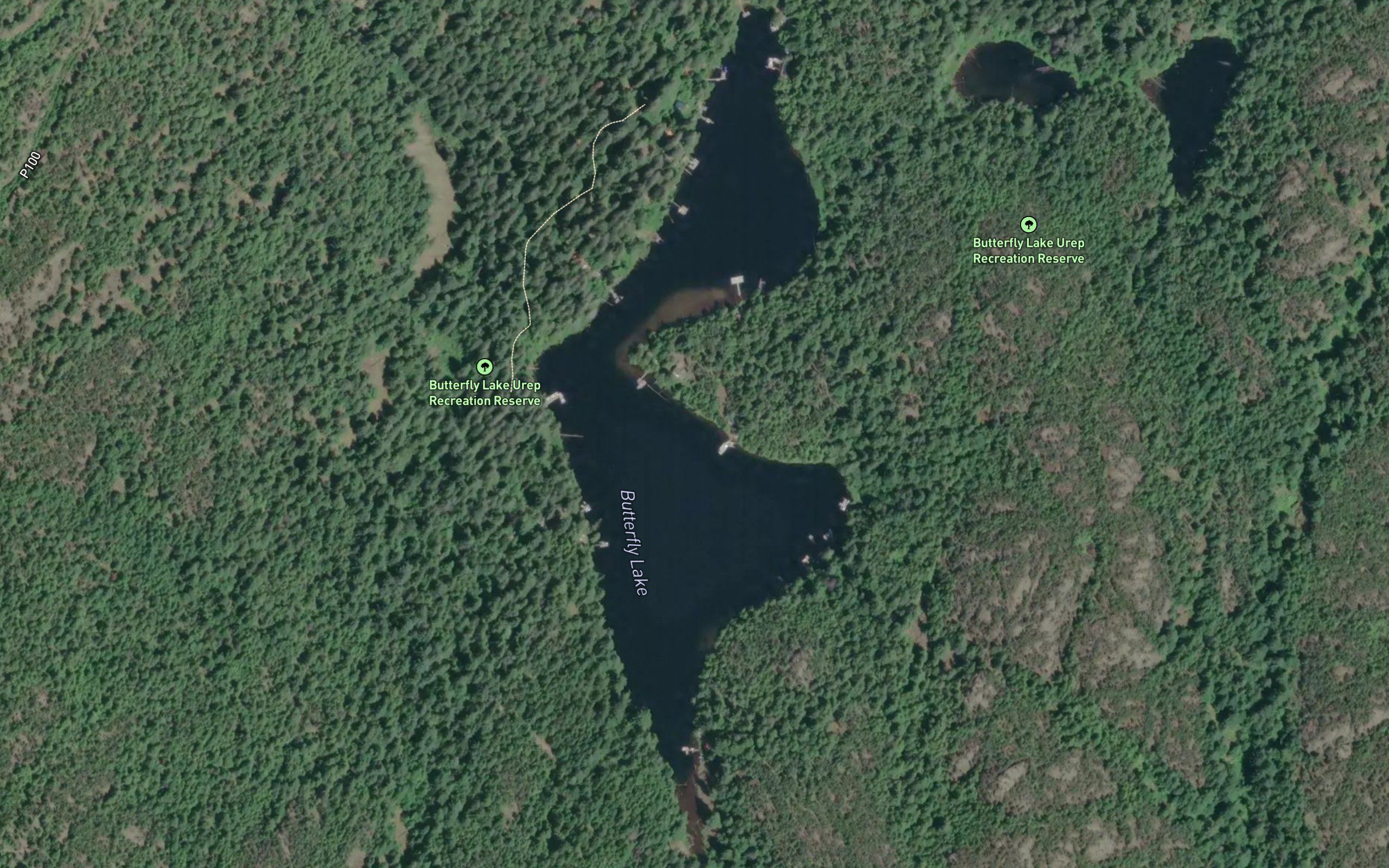 Butterfly Lake
