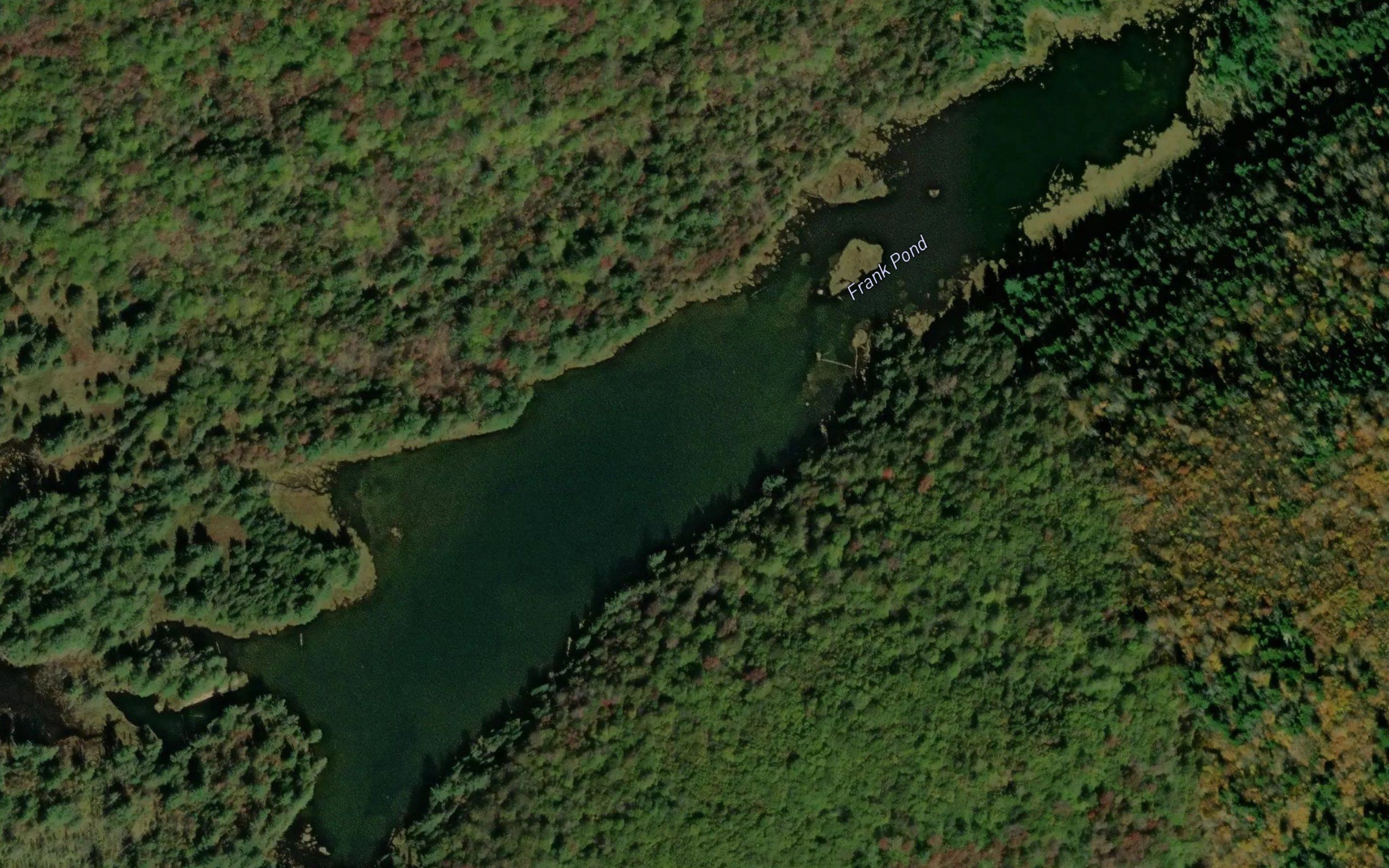 Frank Pond