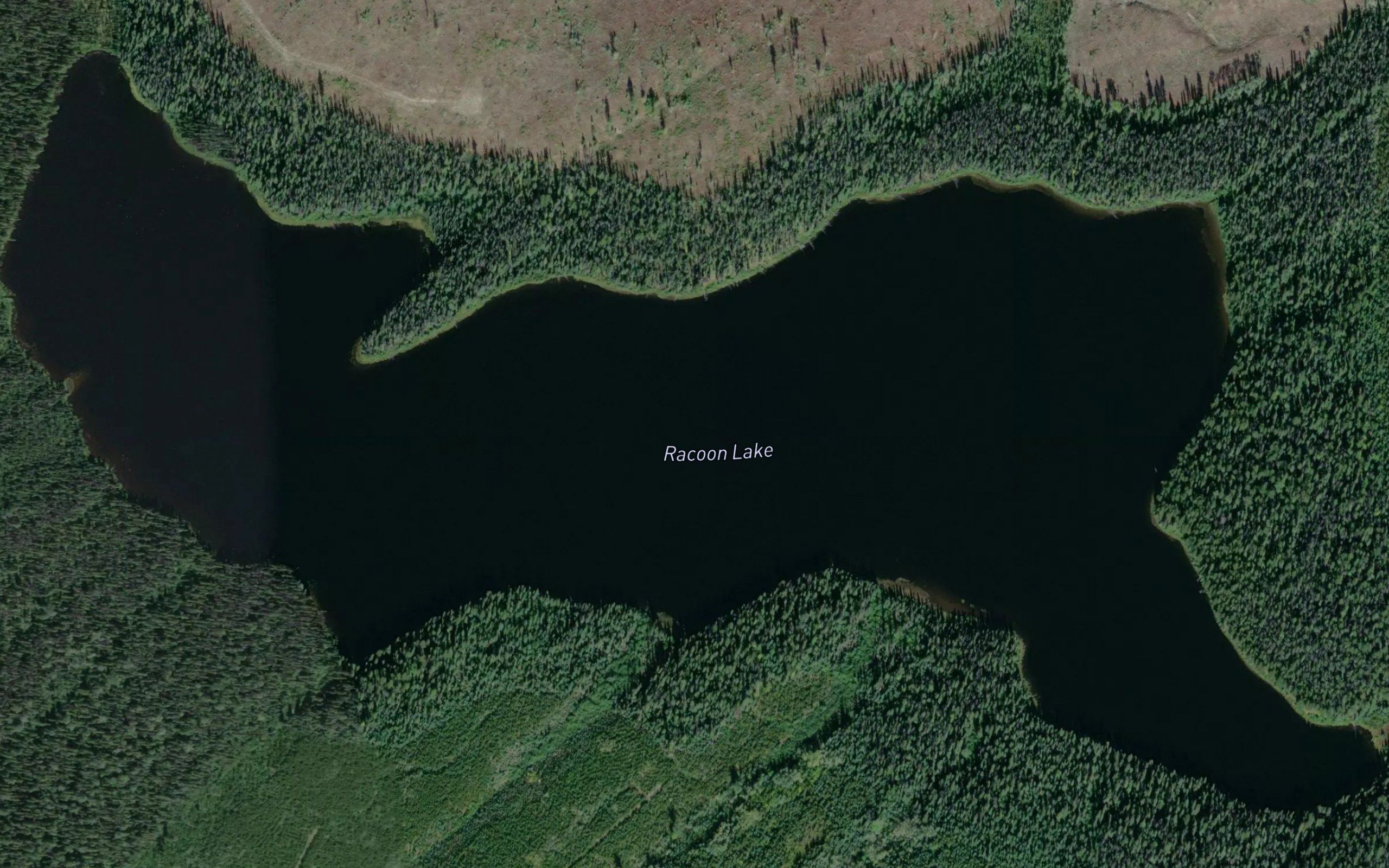 Racoon Lake