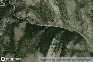 Lower Spring