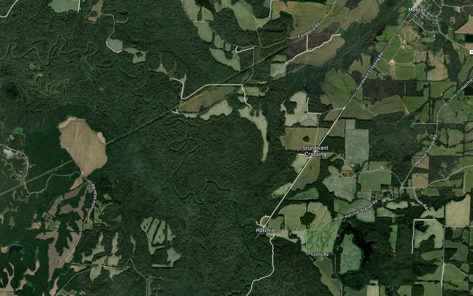Satellite map of the Swifts Slough