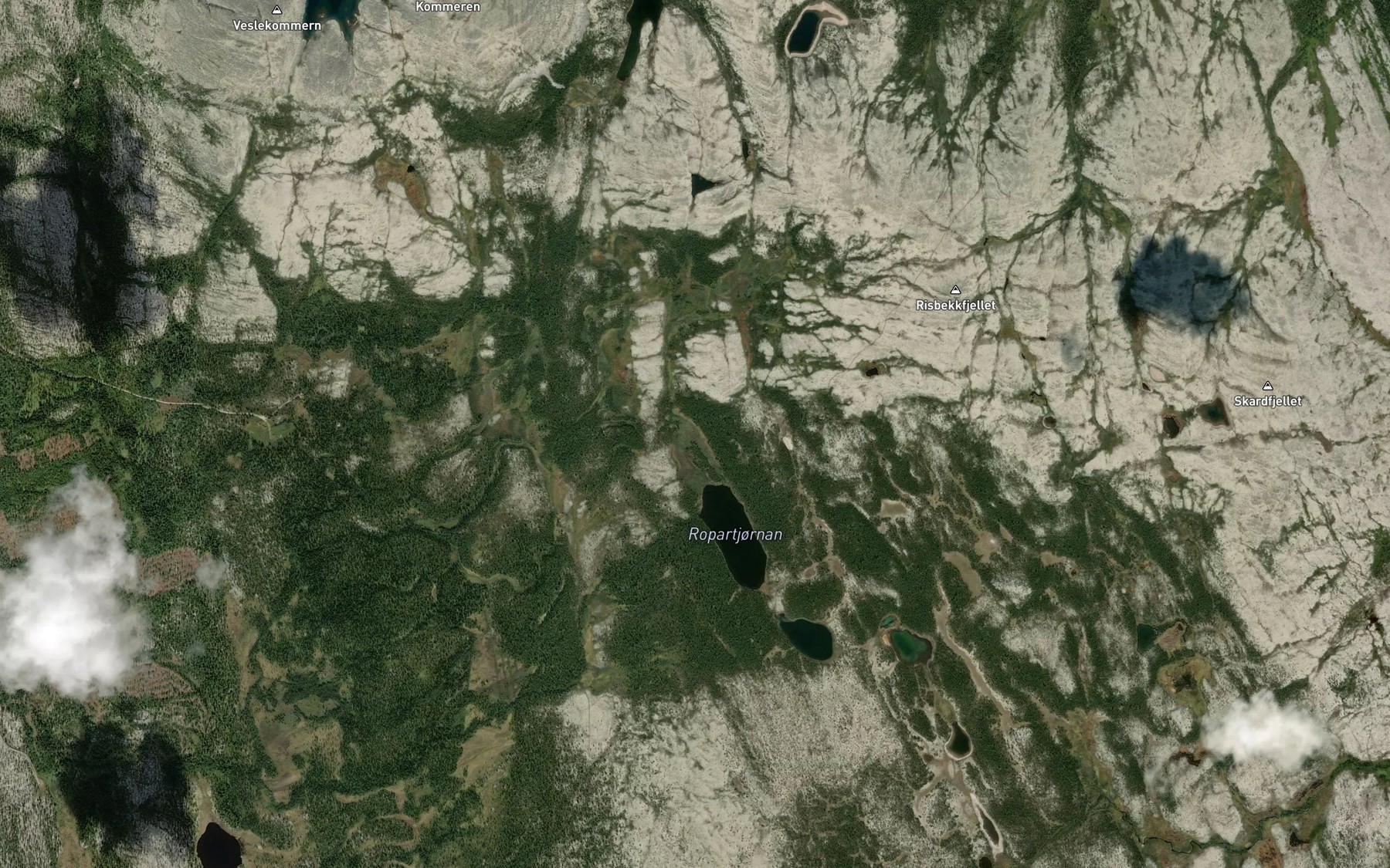 Satellite map of the Risbekken