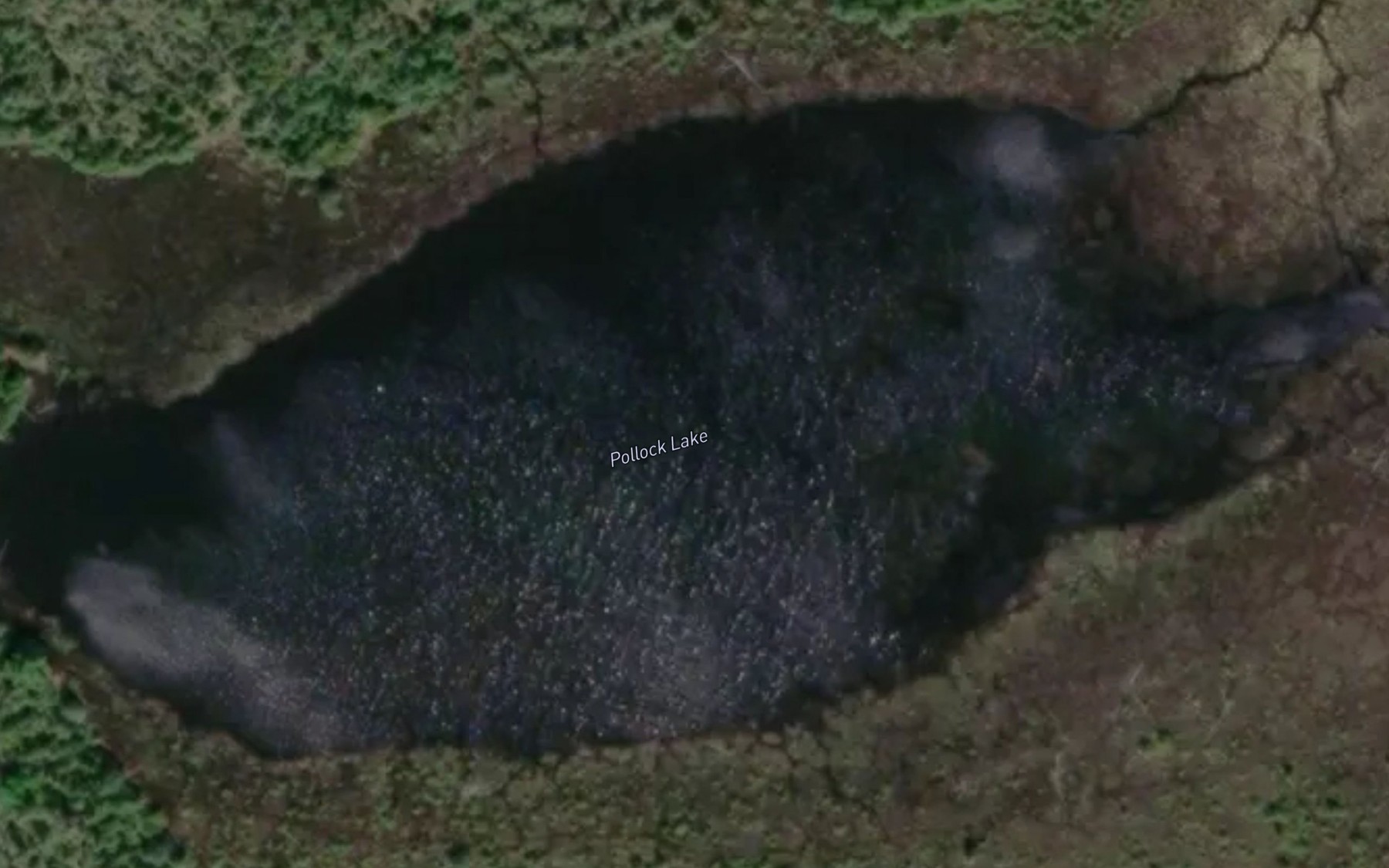 Satellite map of the Pollock Lake