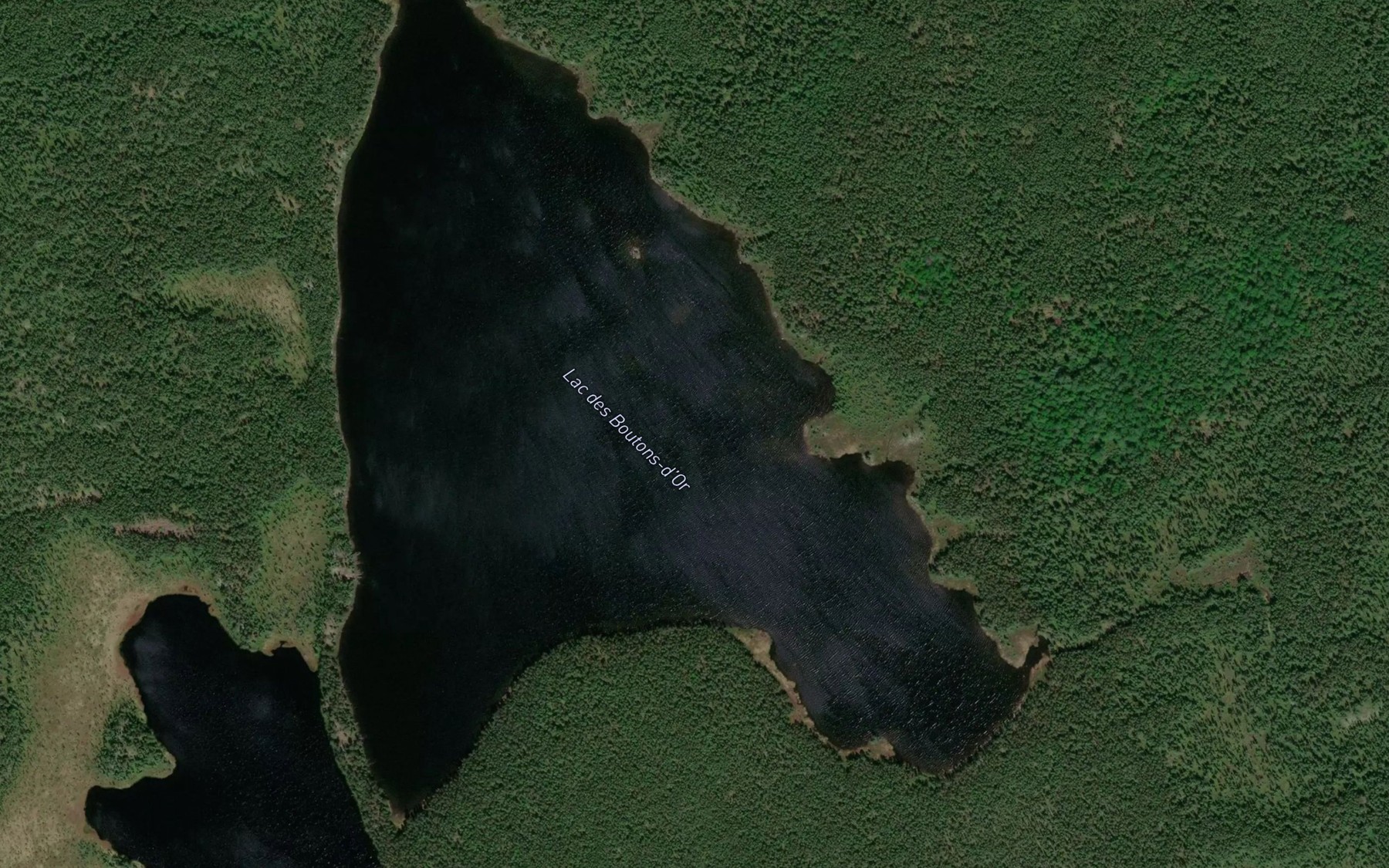 Satellite map of the Lac des Boutons-d'Or