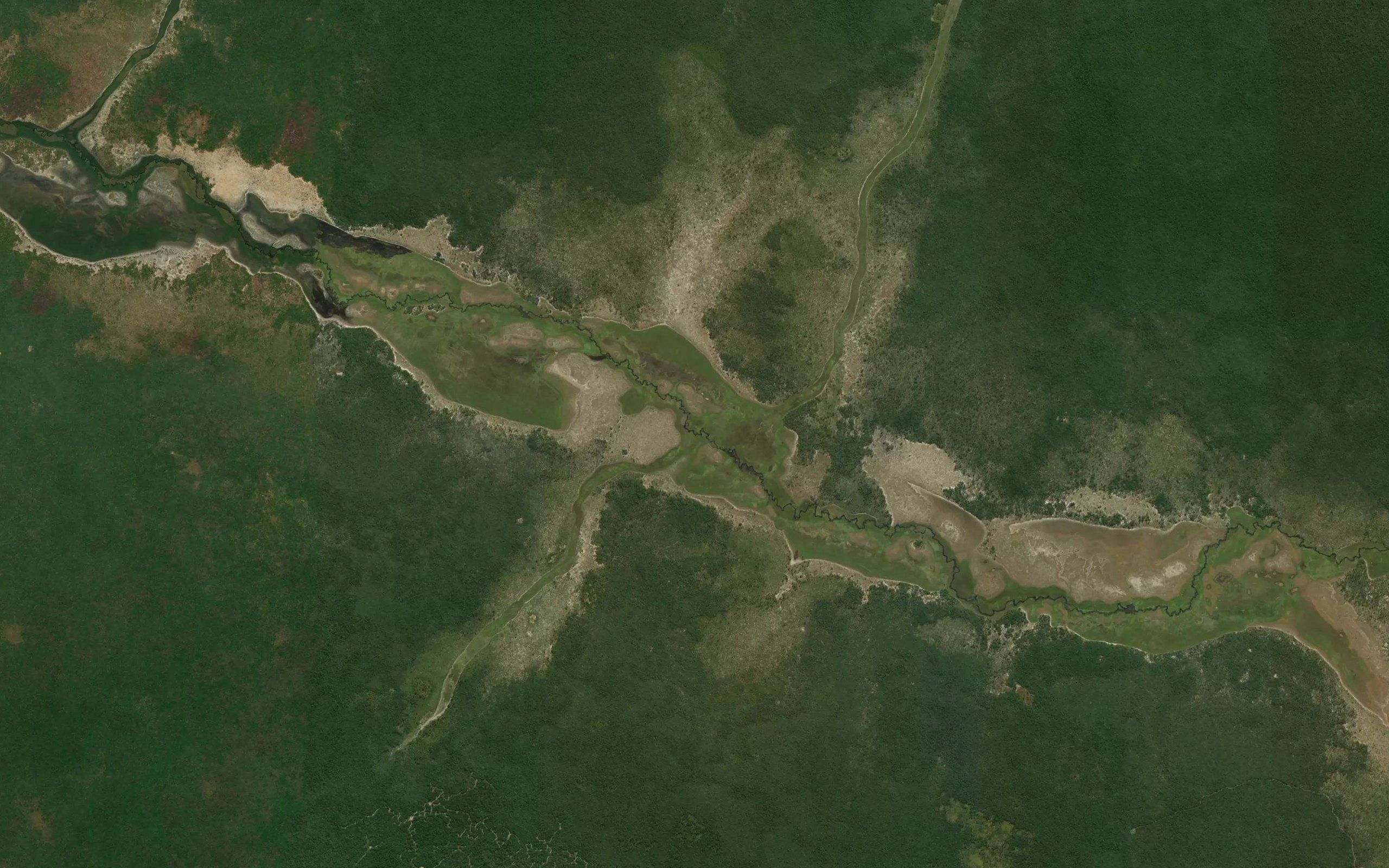 Cainga