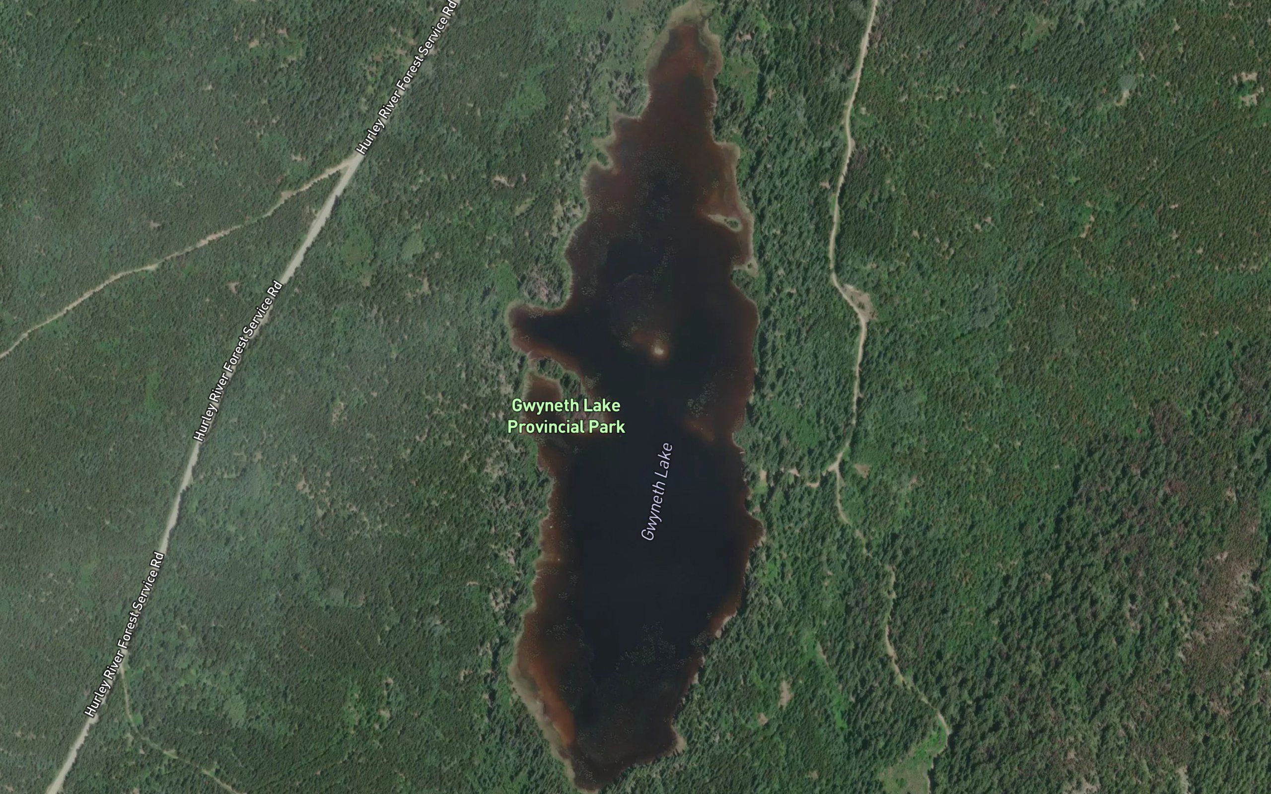 Gwyneth Lake