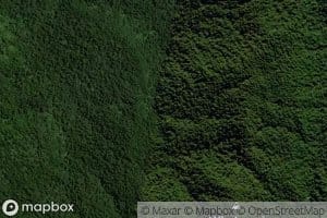 Mangatoatoa Stream