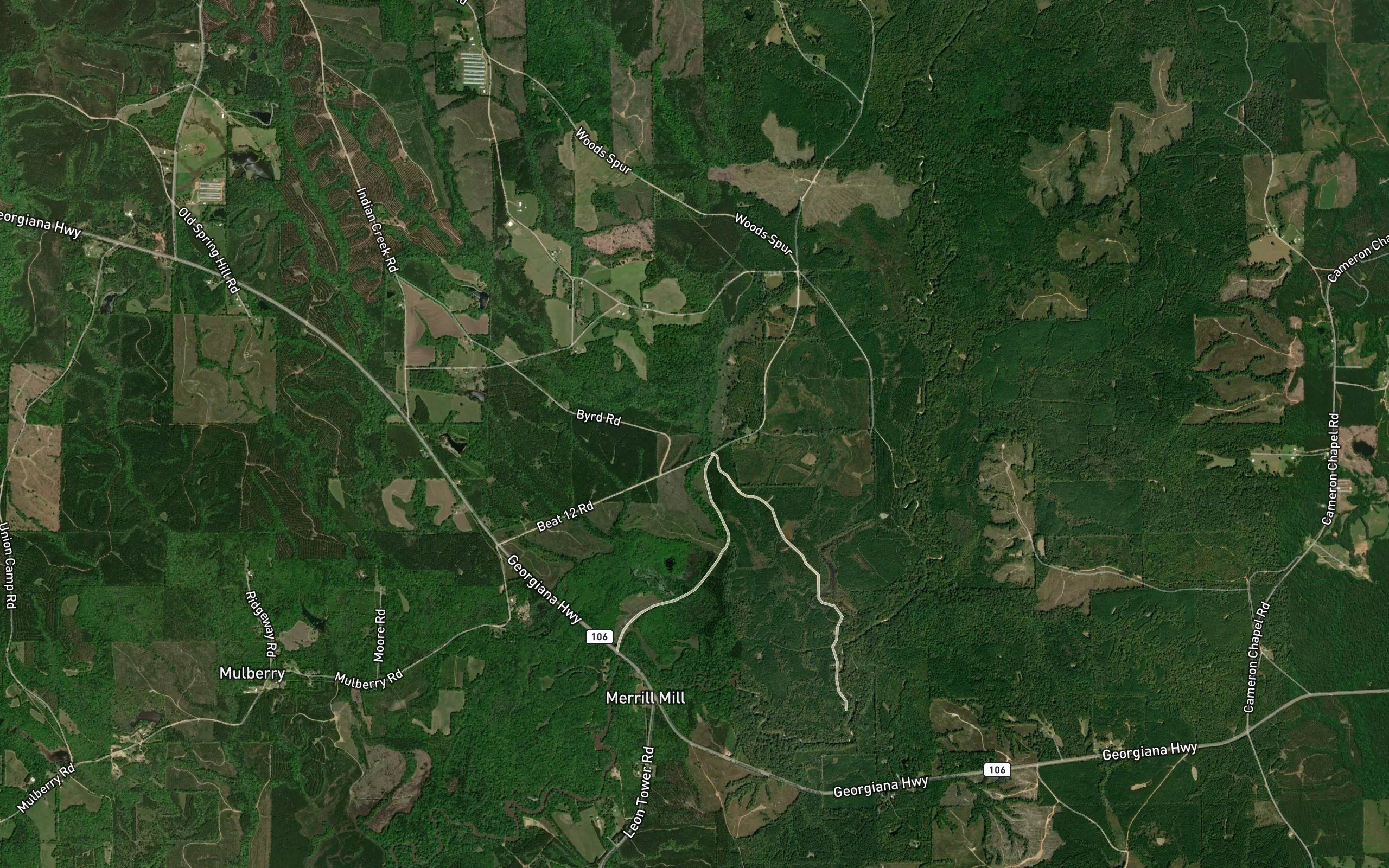 West Fork Bradley Branch
