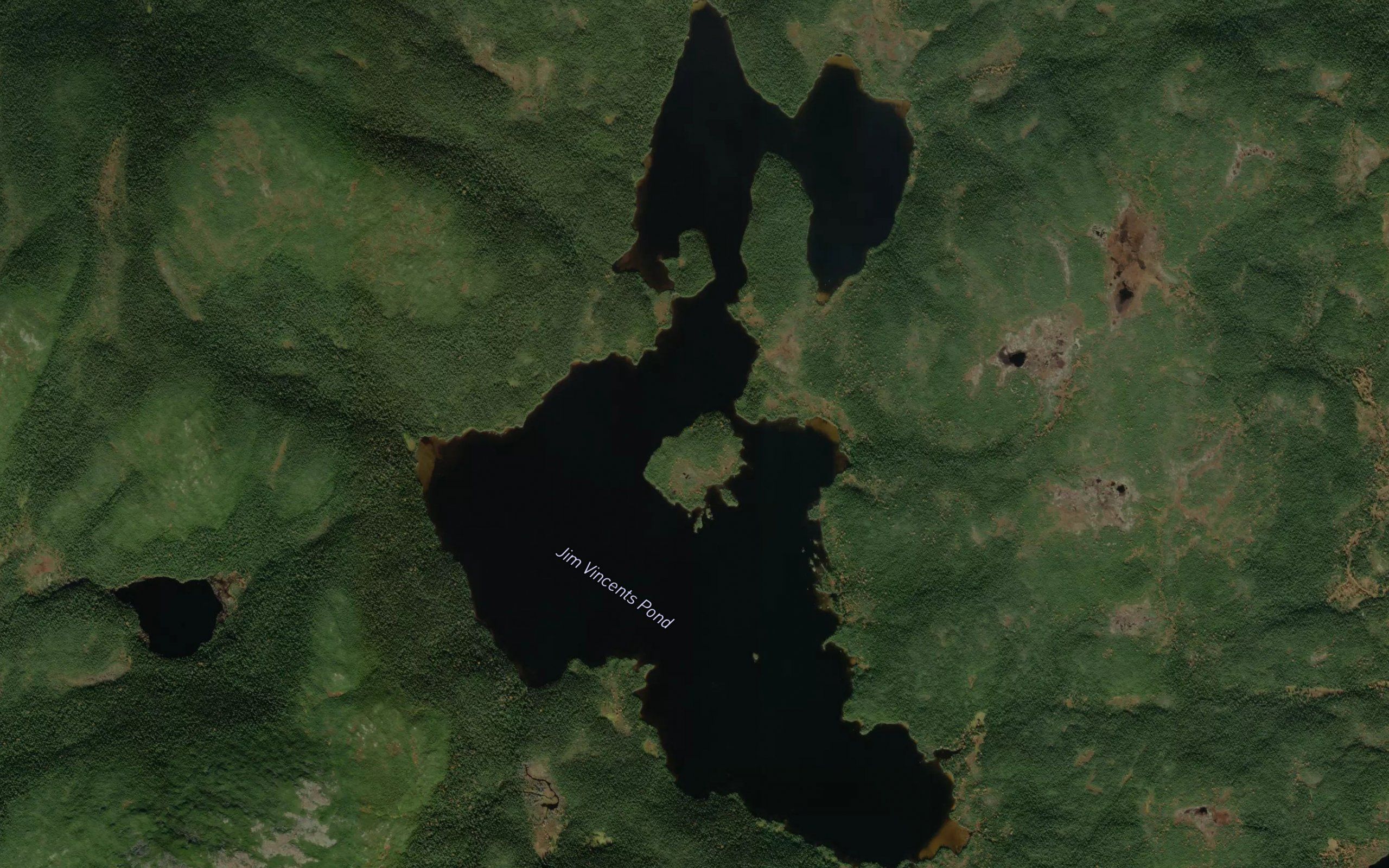 Jim Vincents Pond