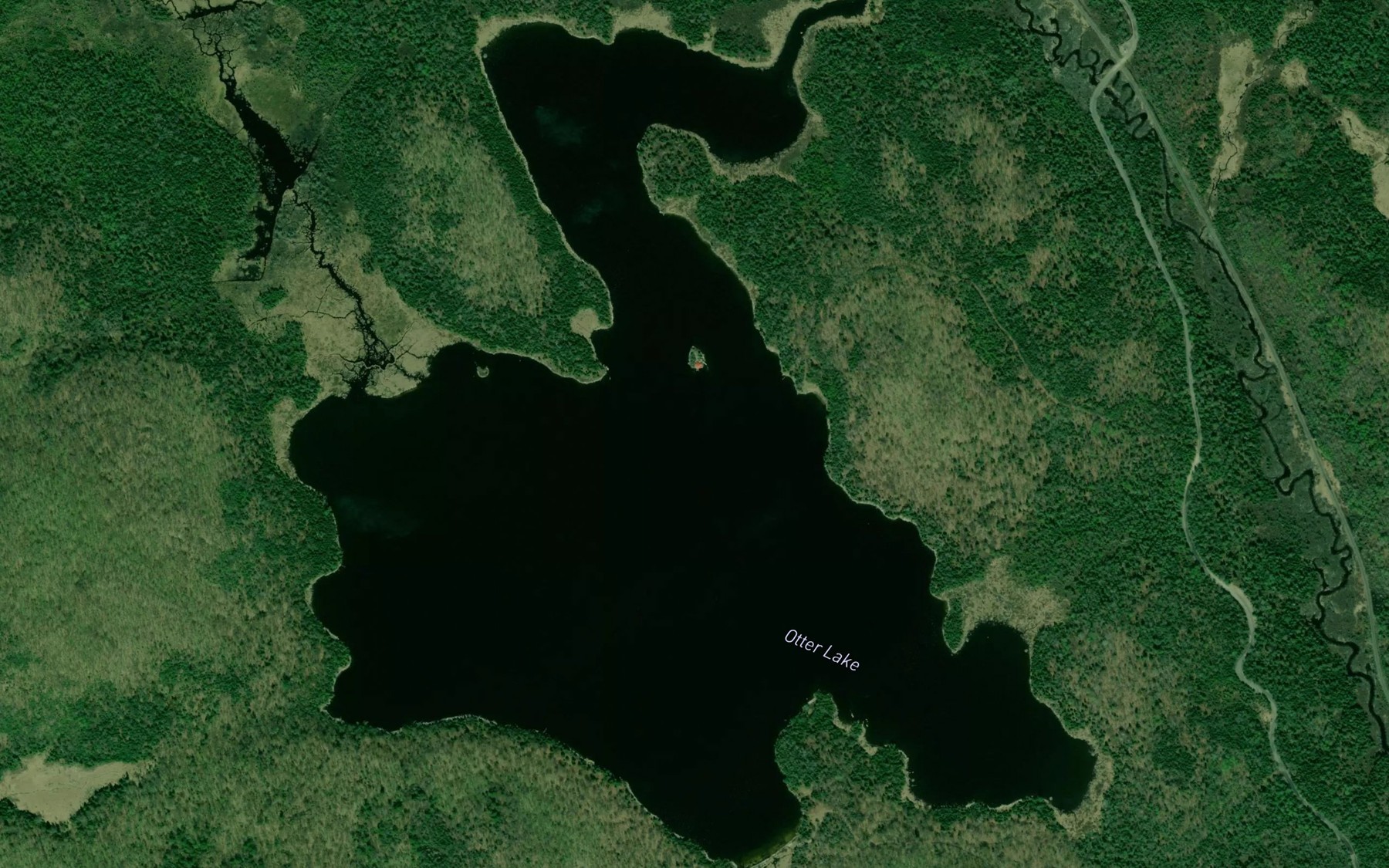 Satellite map of the Otter Lake