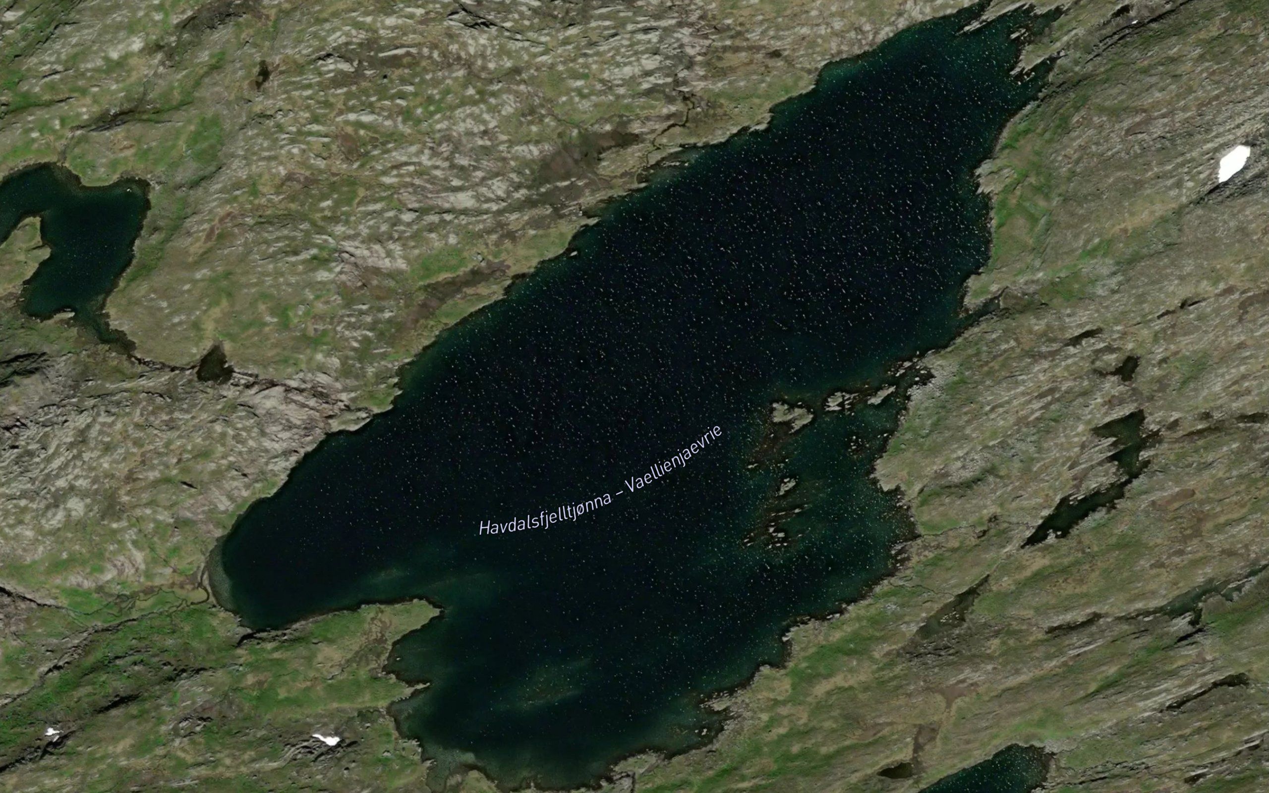 Havdalsfjelltjonna