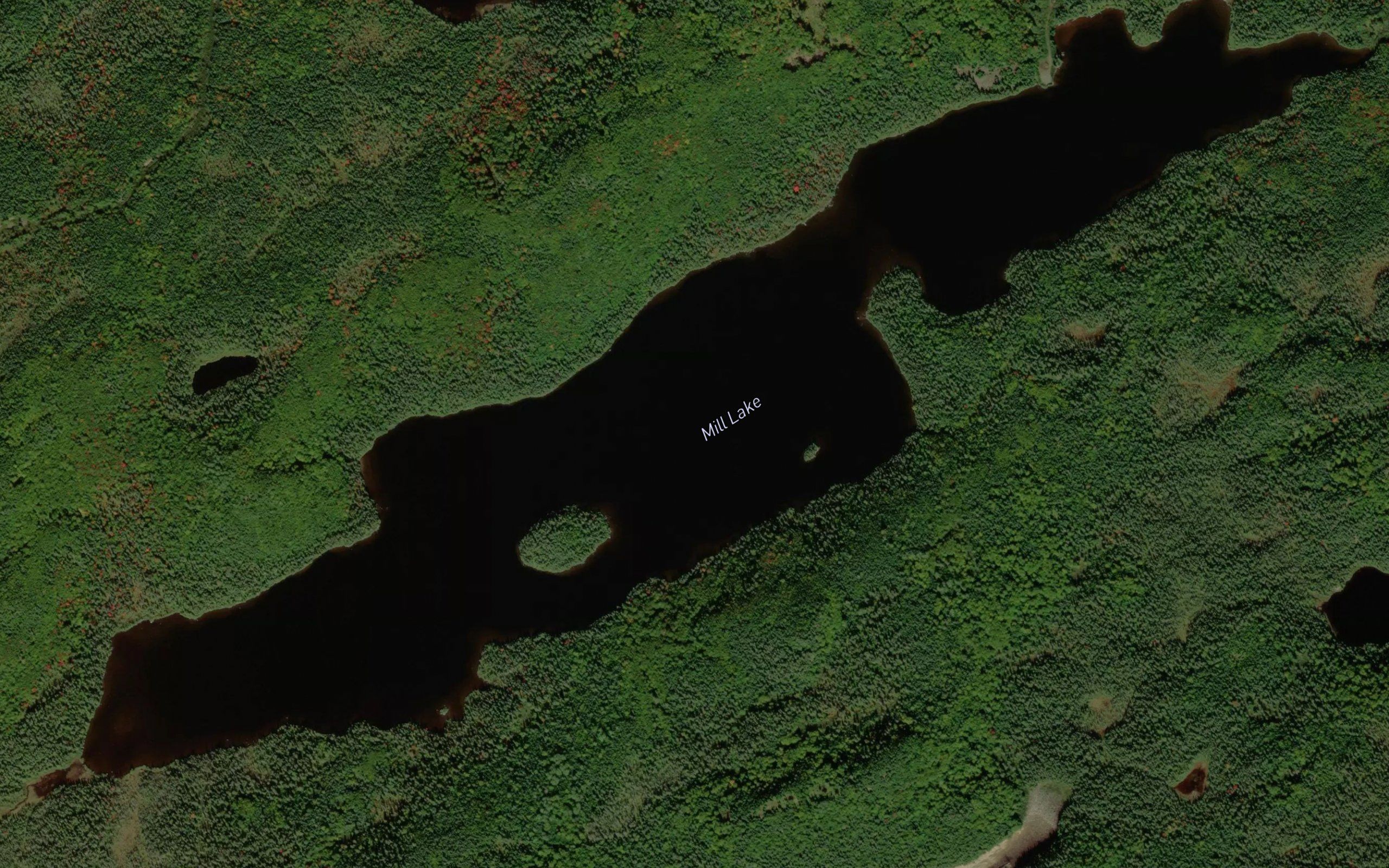 Mill Lake