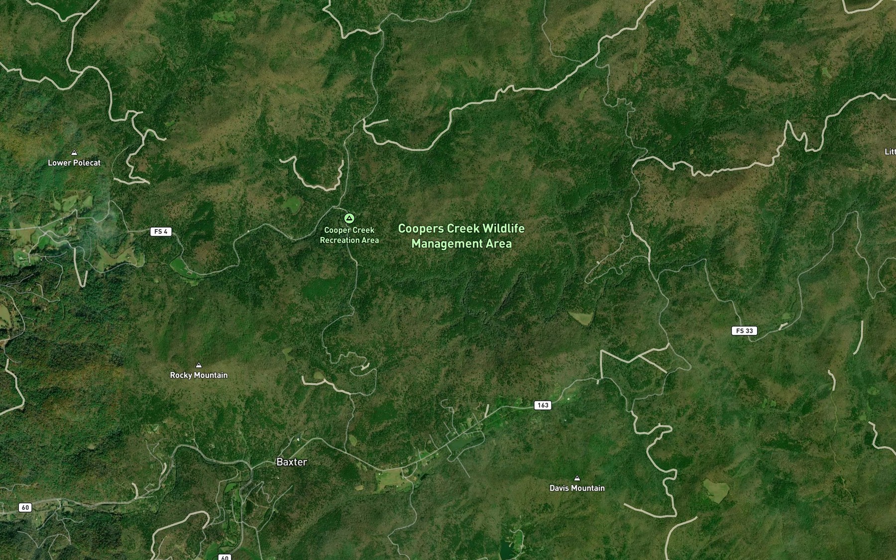 Satellite map of the Deep Cove Branch