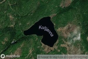 Koltjorna