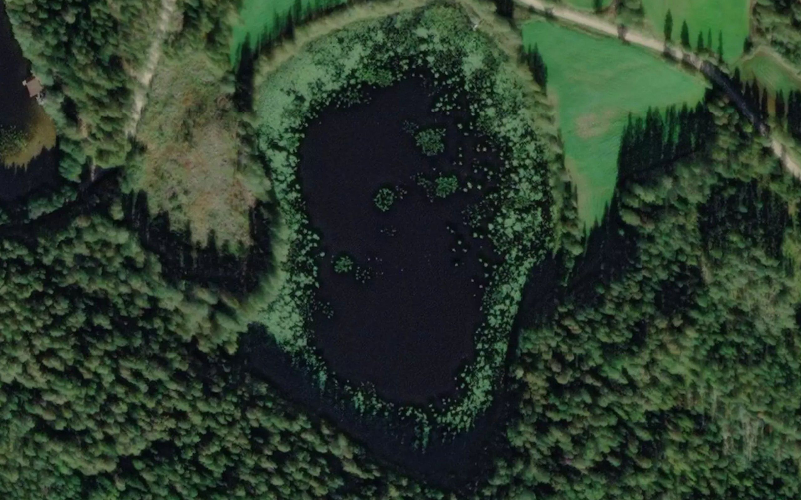 Pekkalanlampi