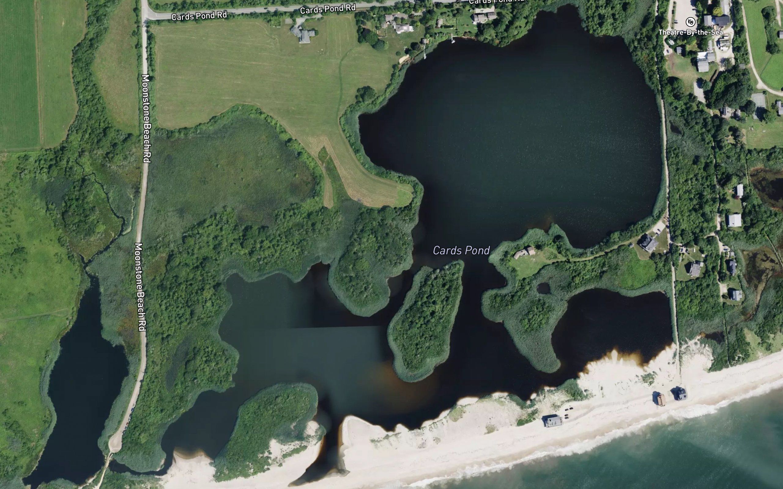 Card Ponds