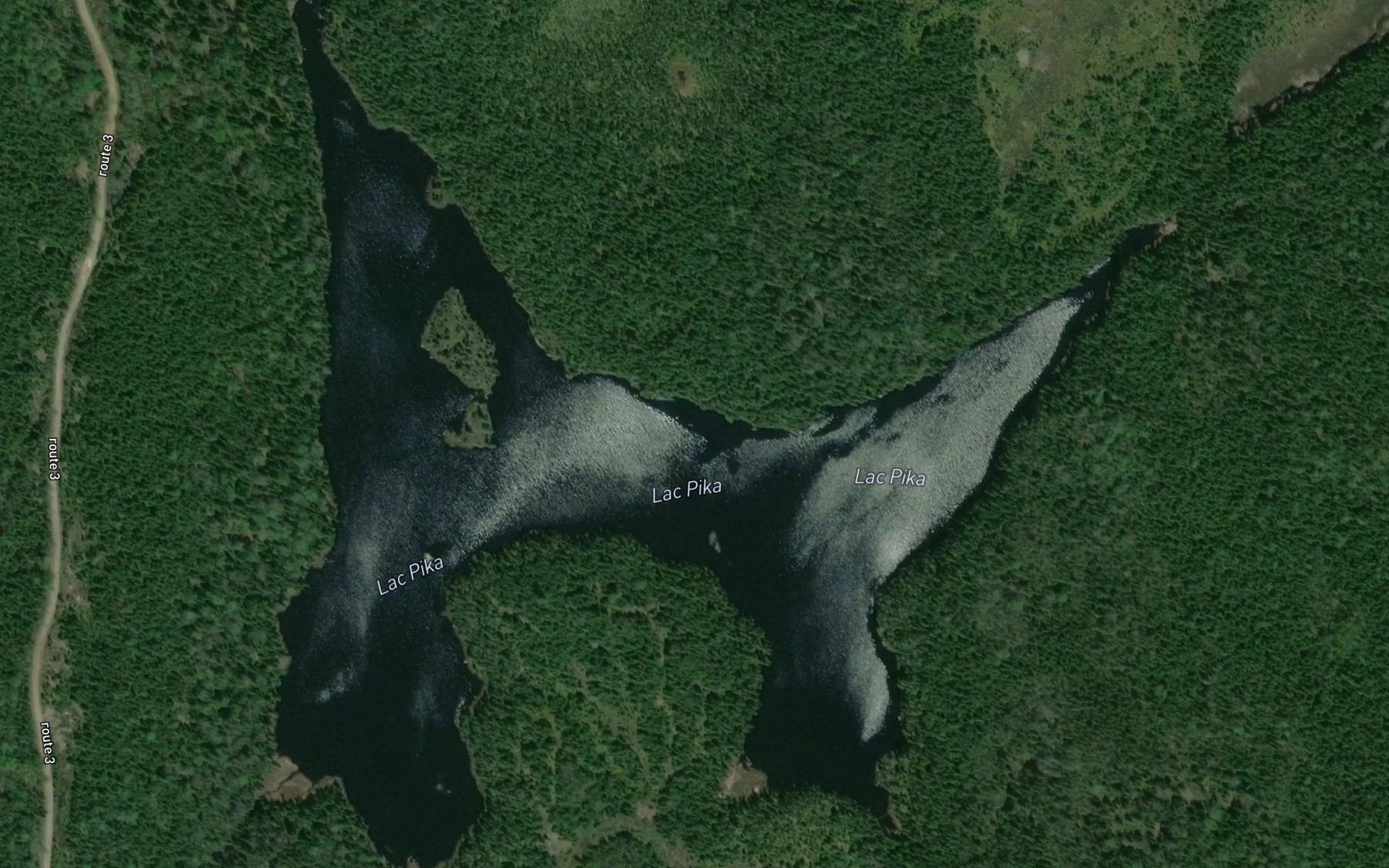Satellite map of the Lac Pika