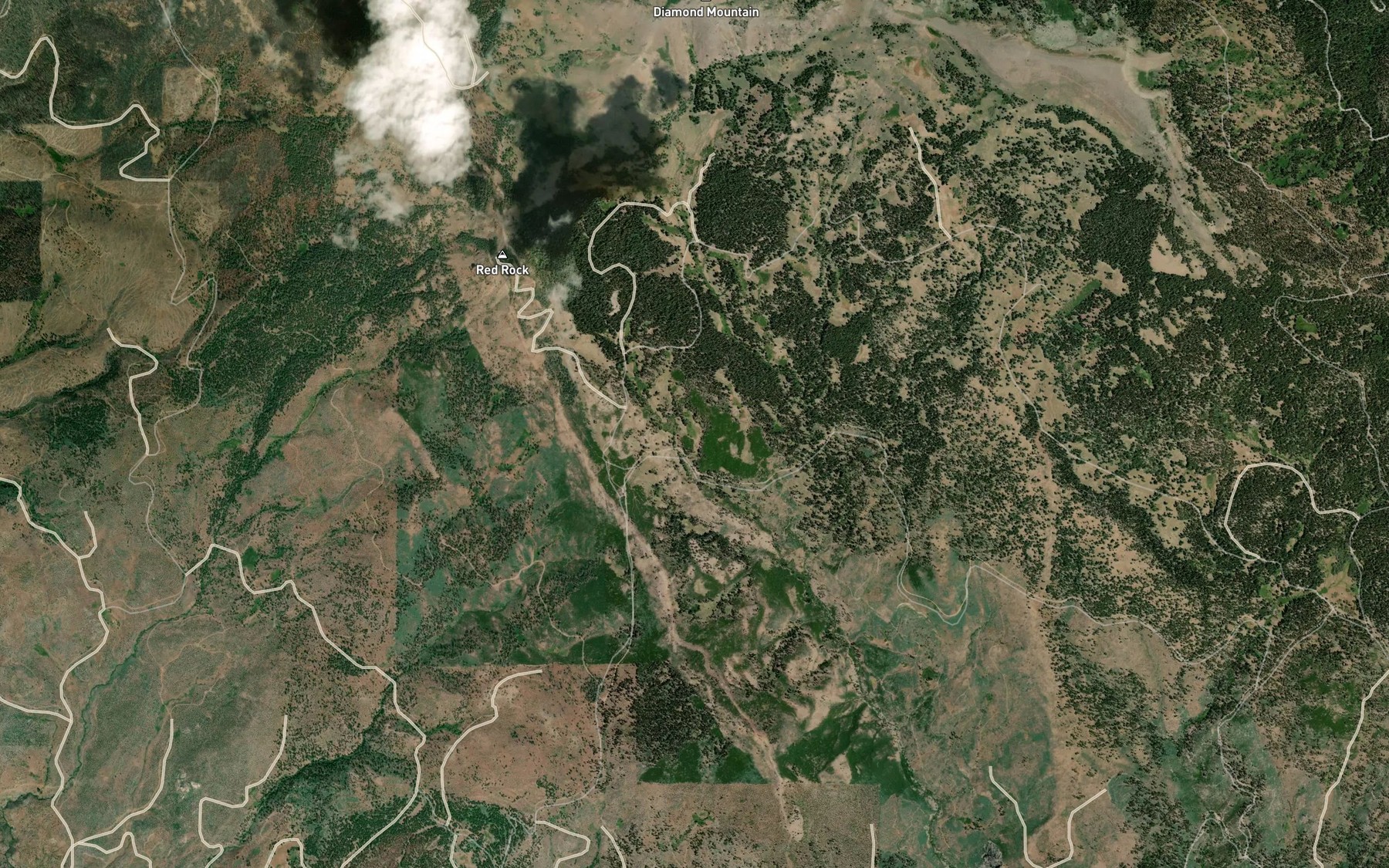 Satellite map of the The Beaver Ponds