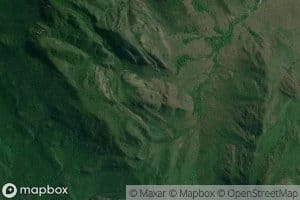 Jaguay Carrizal Grande