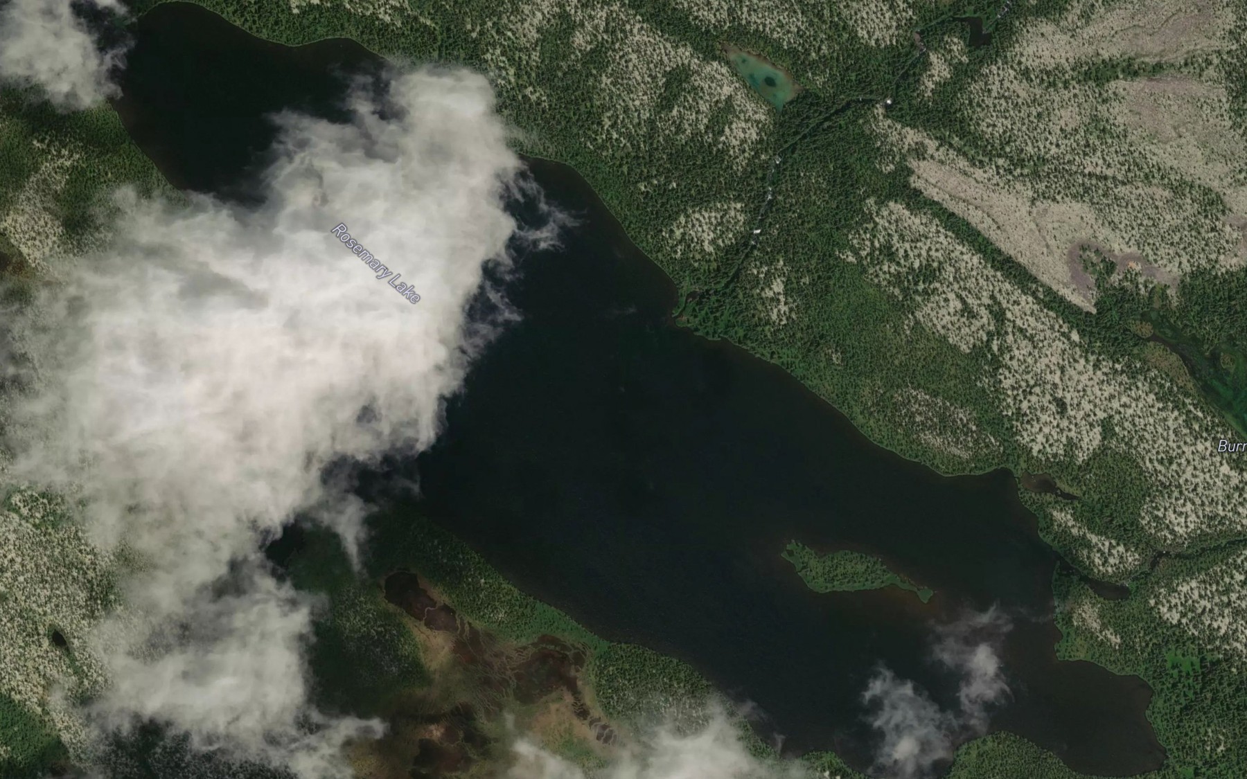 Satellite map of the Rosemary Lake