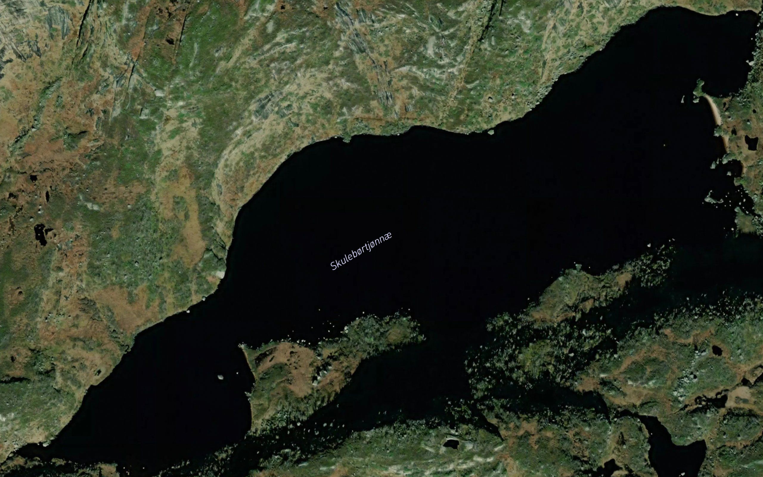 Skulbergtjorni