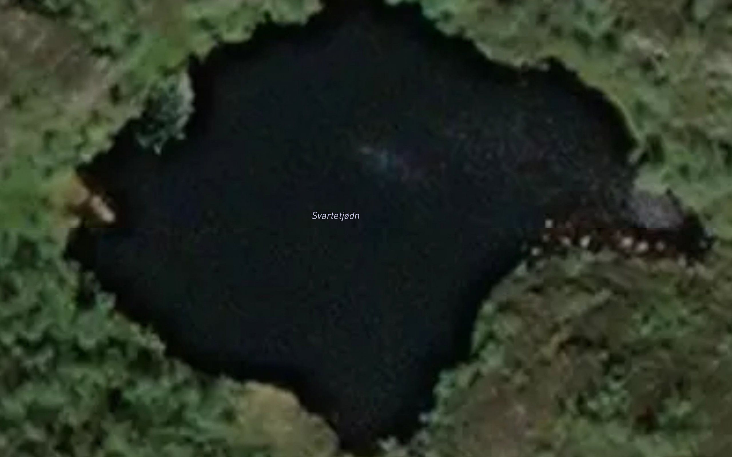 Svartetjodn
