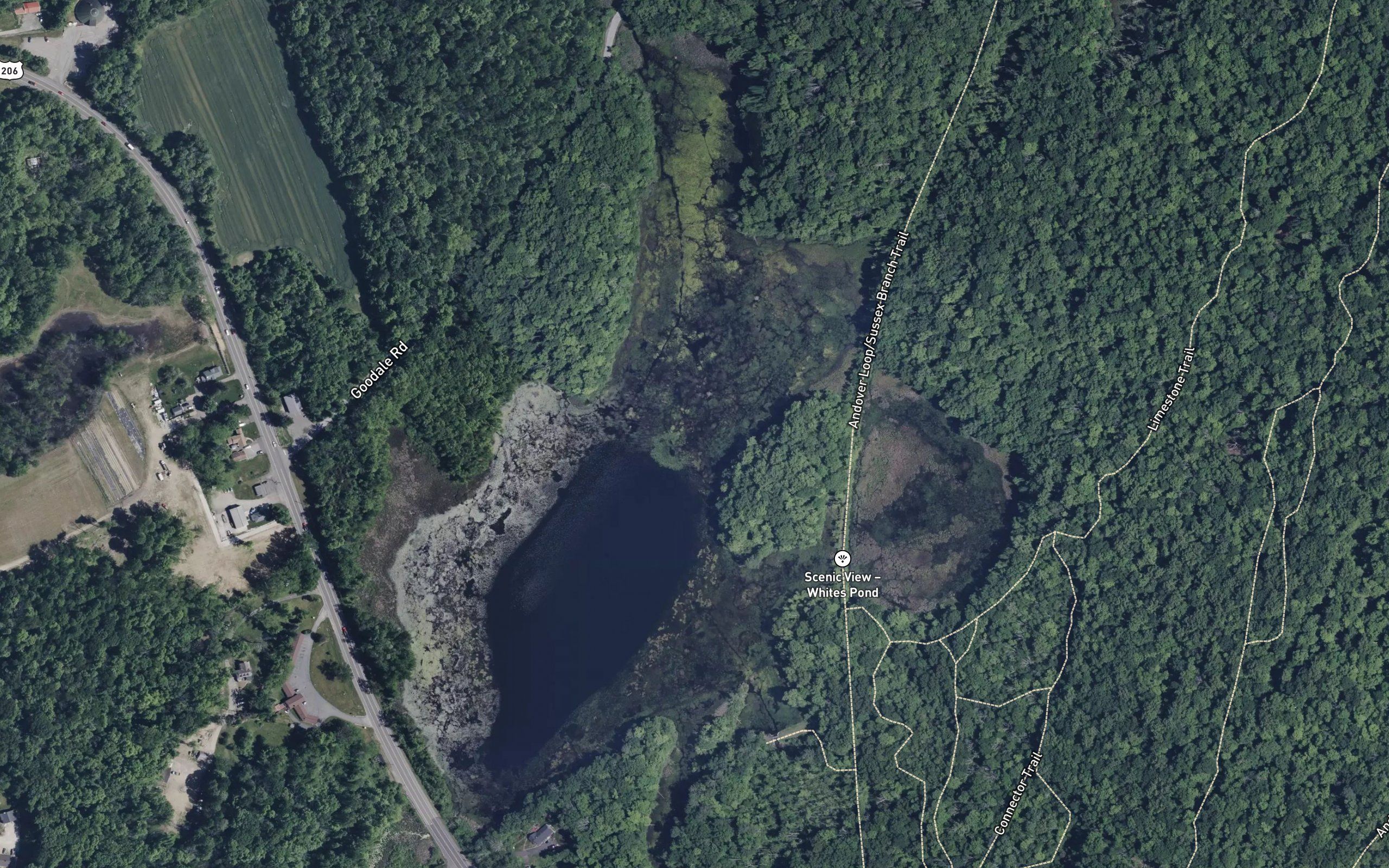 Whites Pond