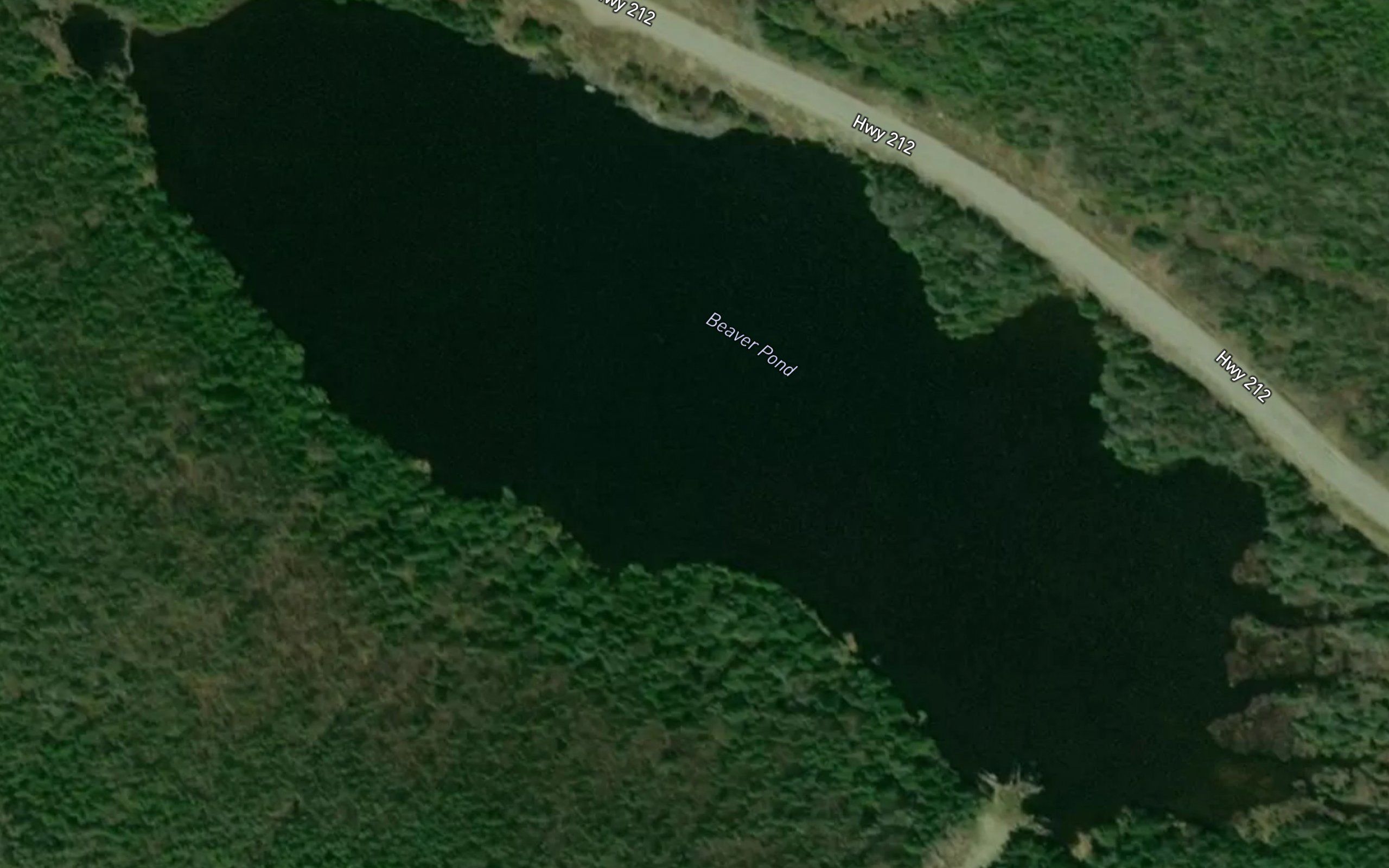 Beaver Pond