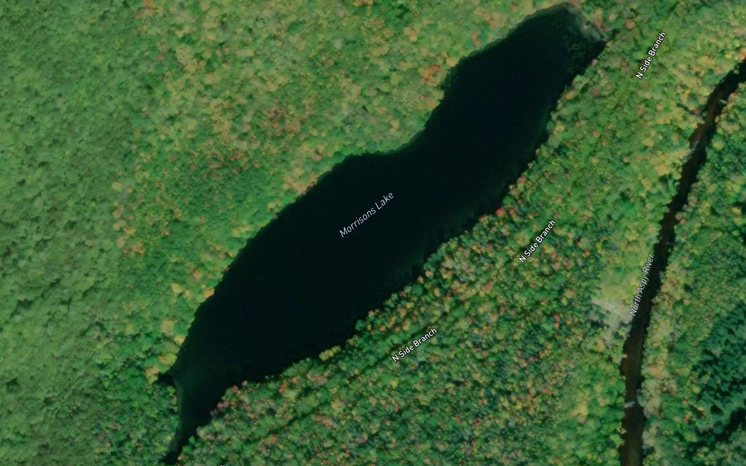 Morrisons Lake