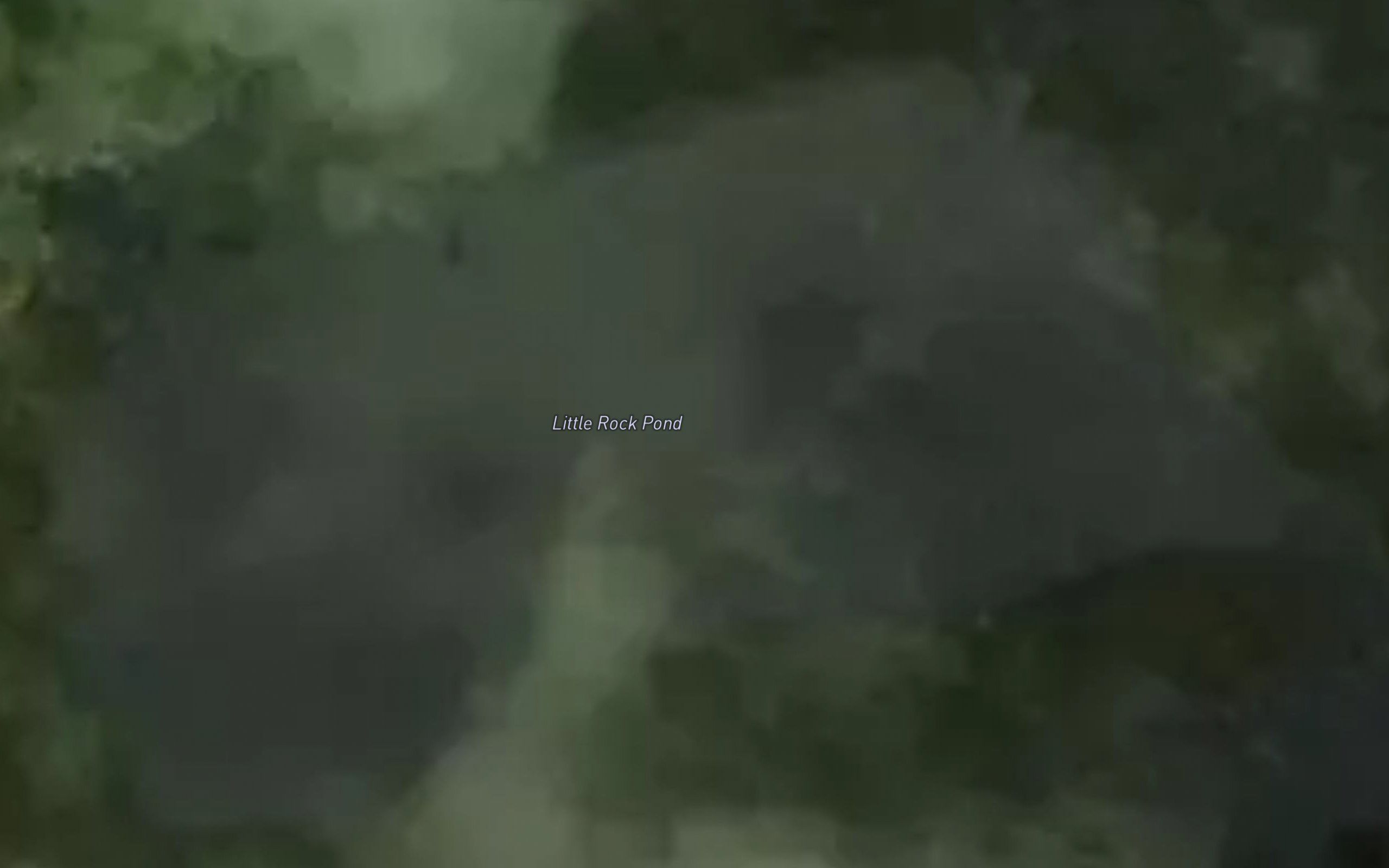 Little Rock Pond