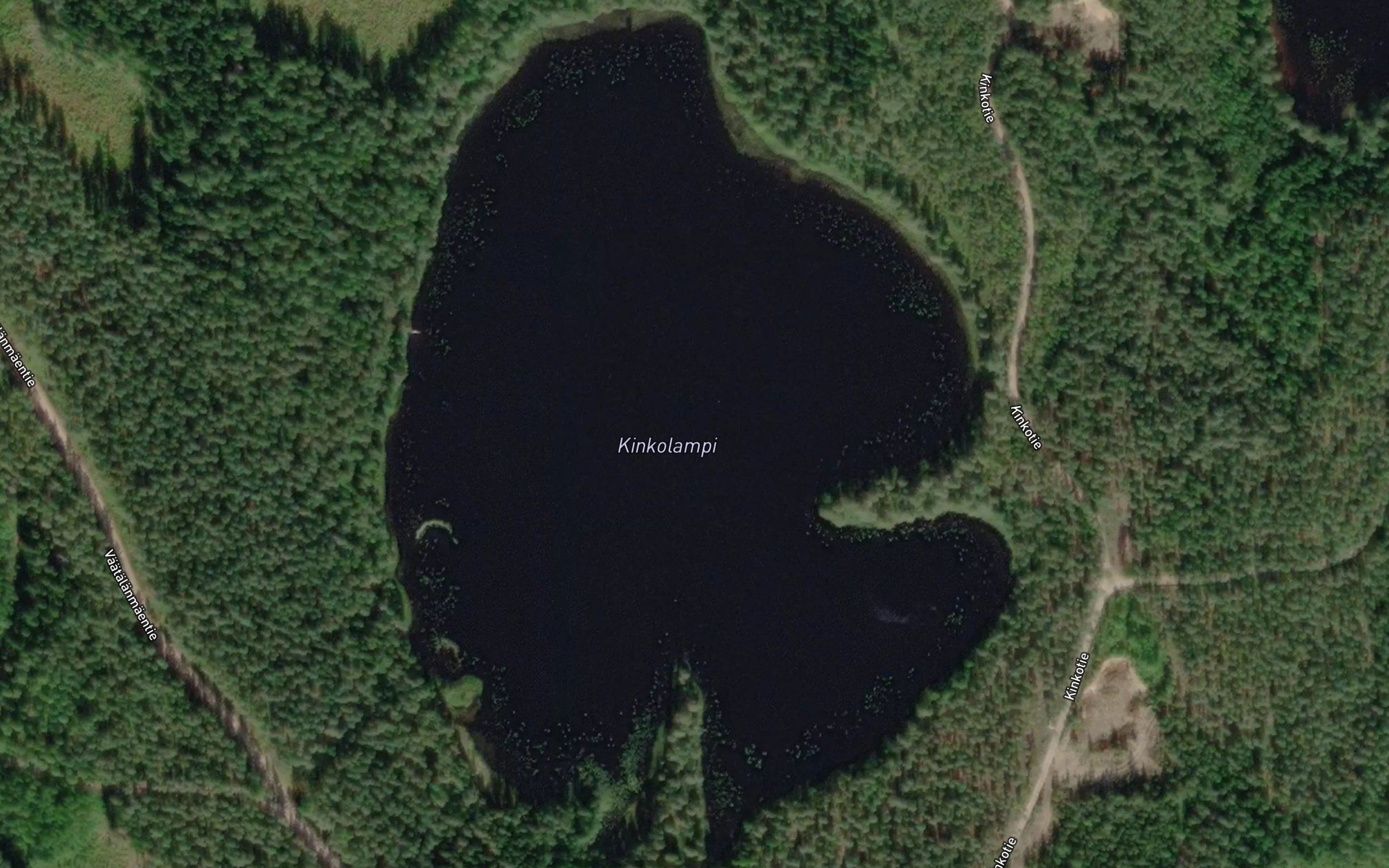 Kinkolampi