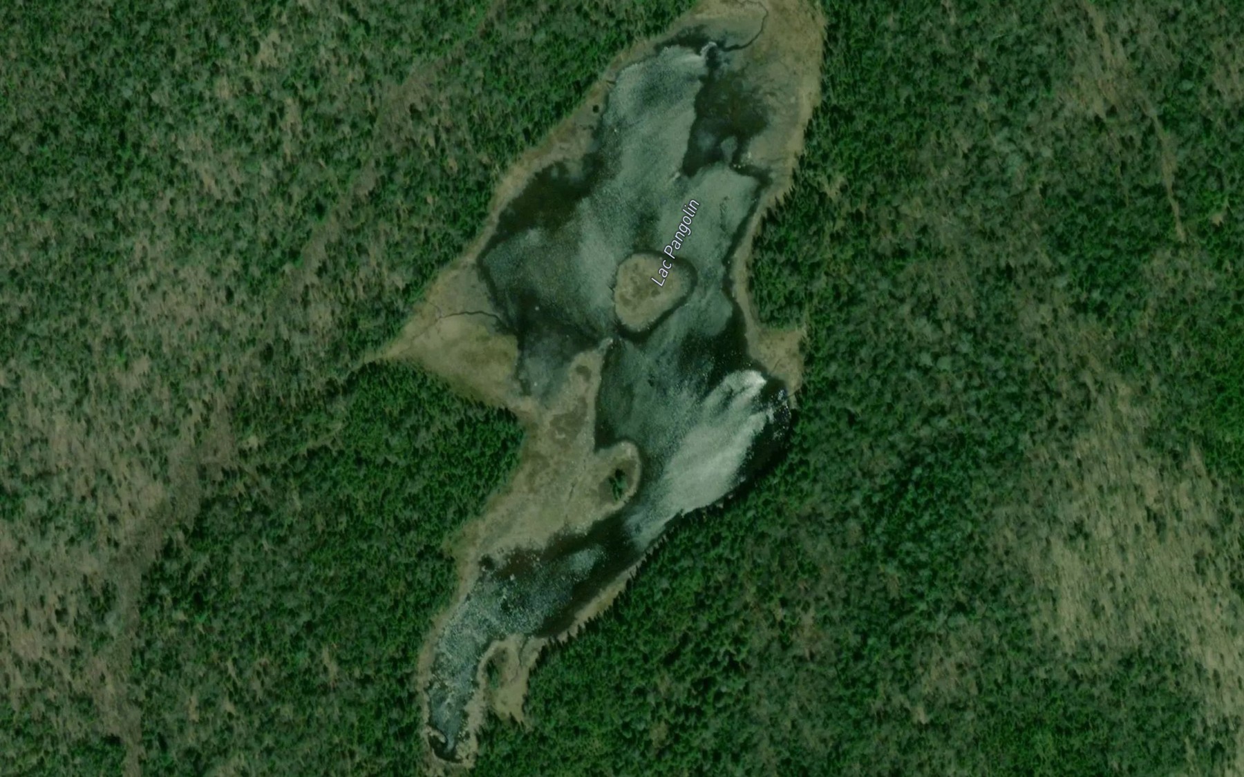 Satellite map of the Lac Pangolin