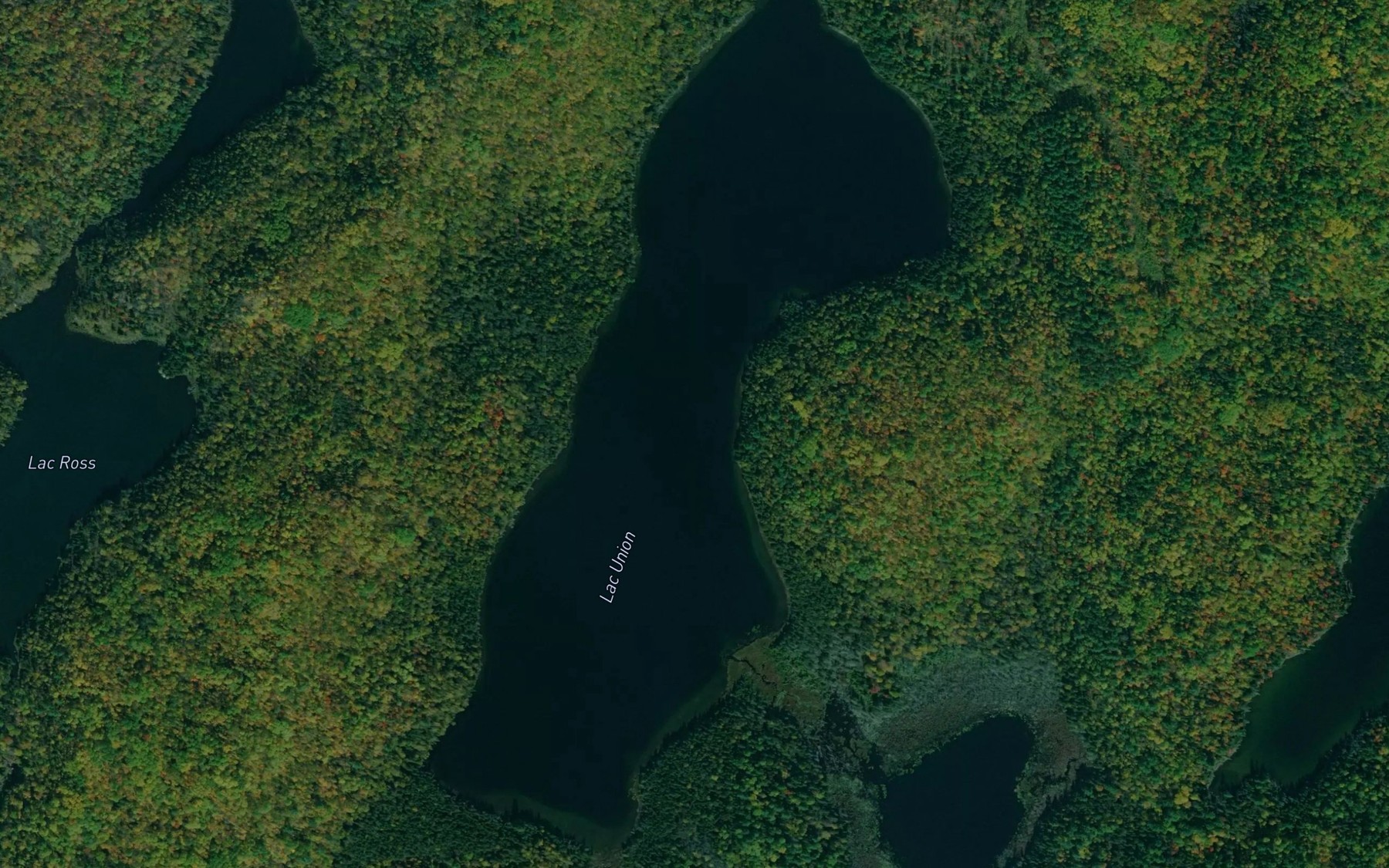 Satellite map of the Lac Union