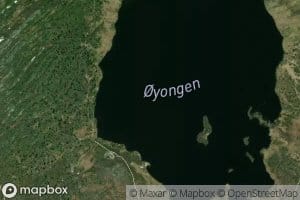Oyungen